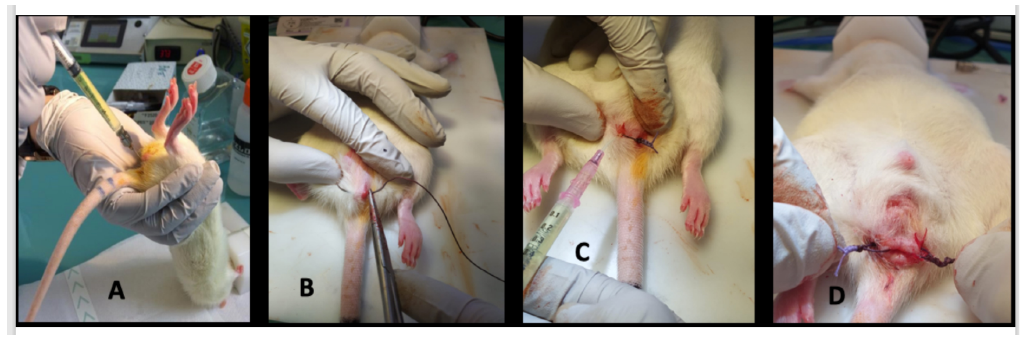 Ijms 23 08324 g005 550