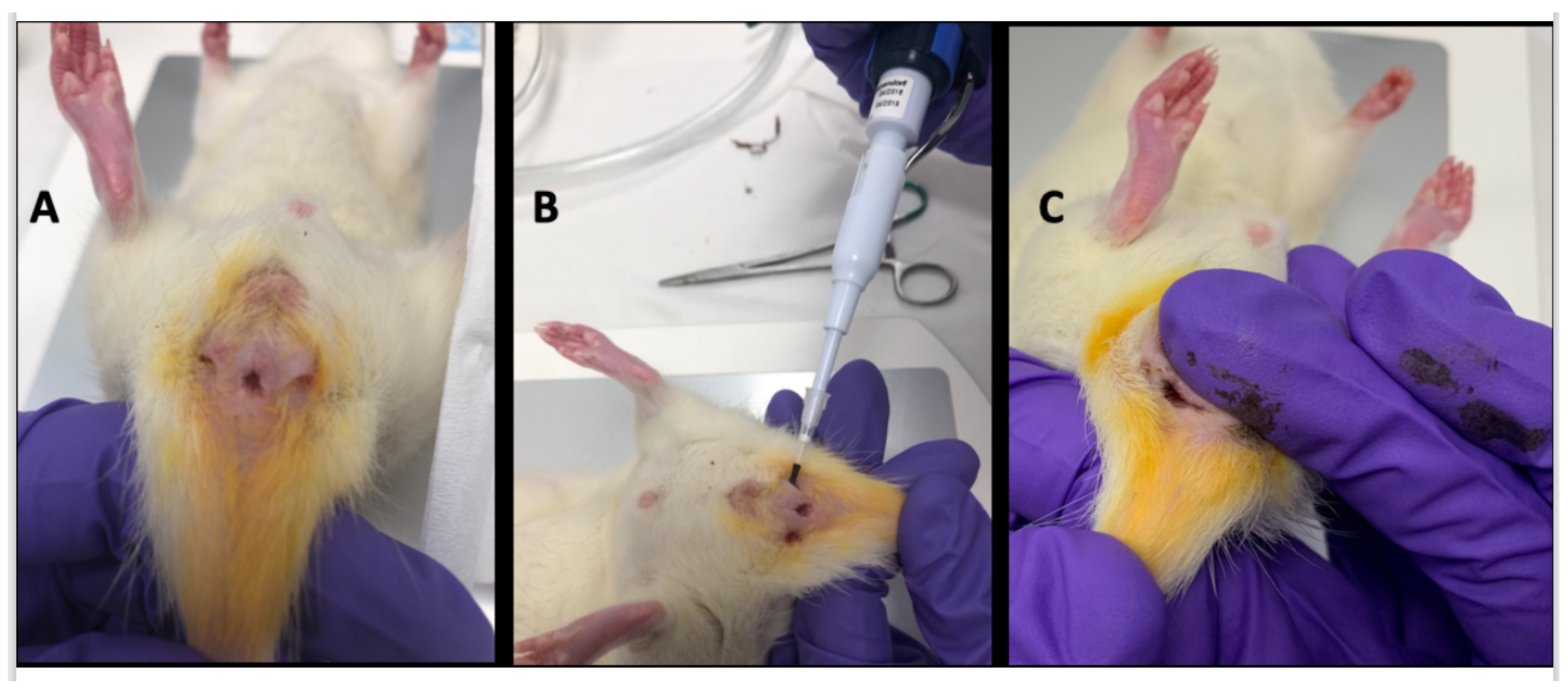 Ijms 23 08324 g006 550