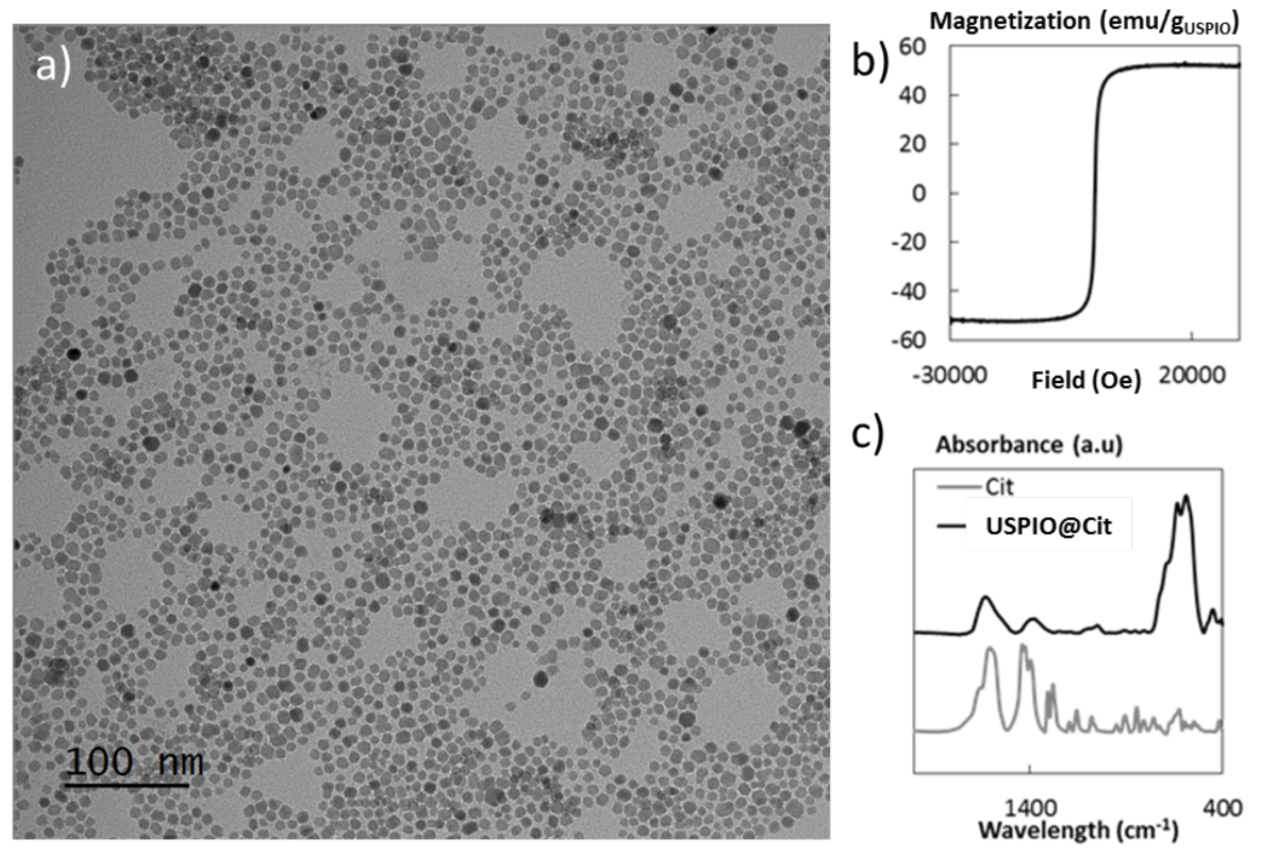 Ijms 23 08324 g007 550