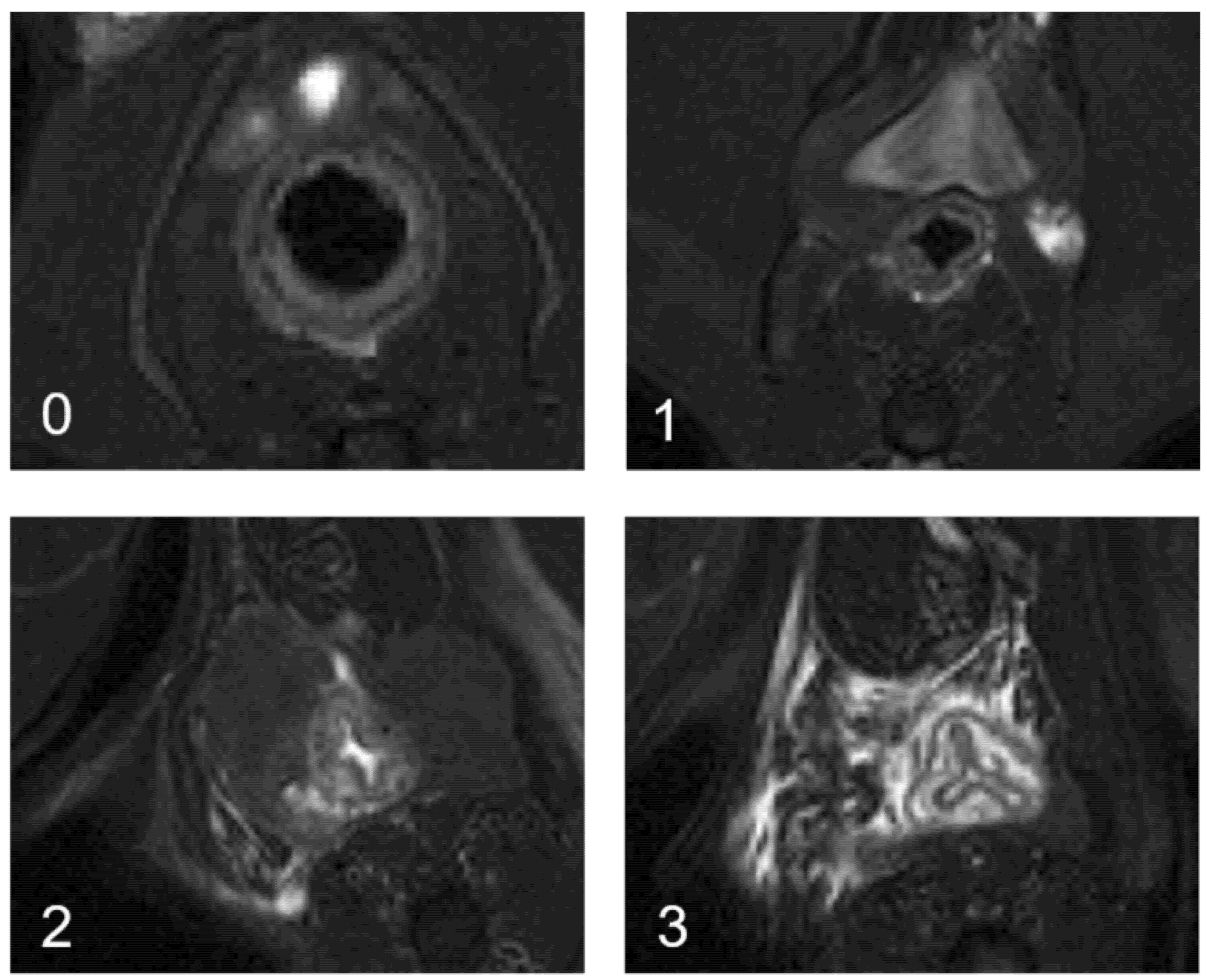 Ijms 23 08324 g009 550