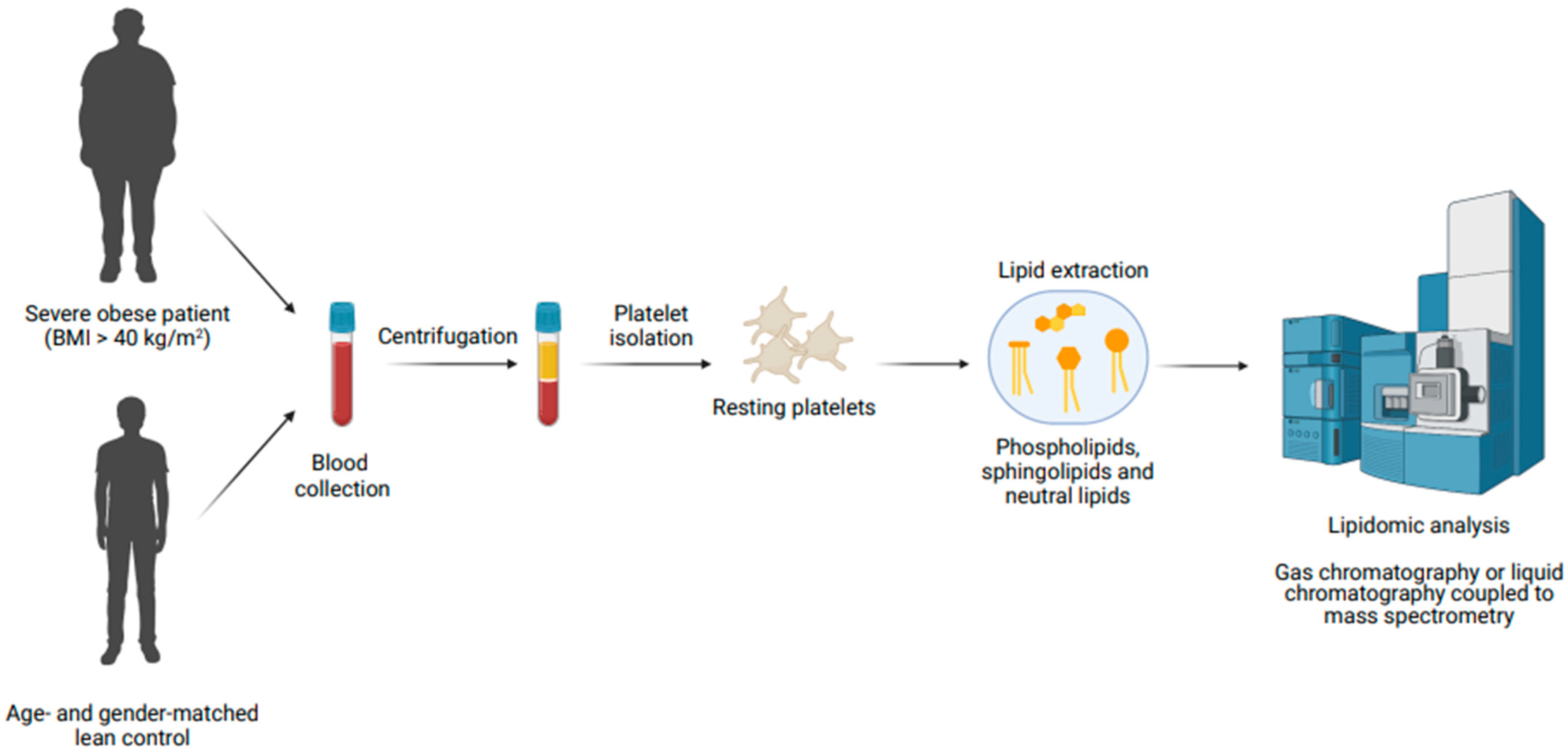 Ijms 23 08326 g001 550