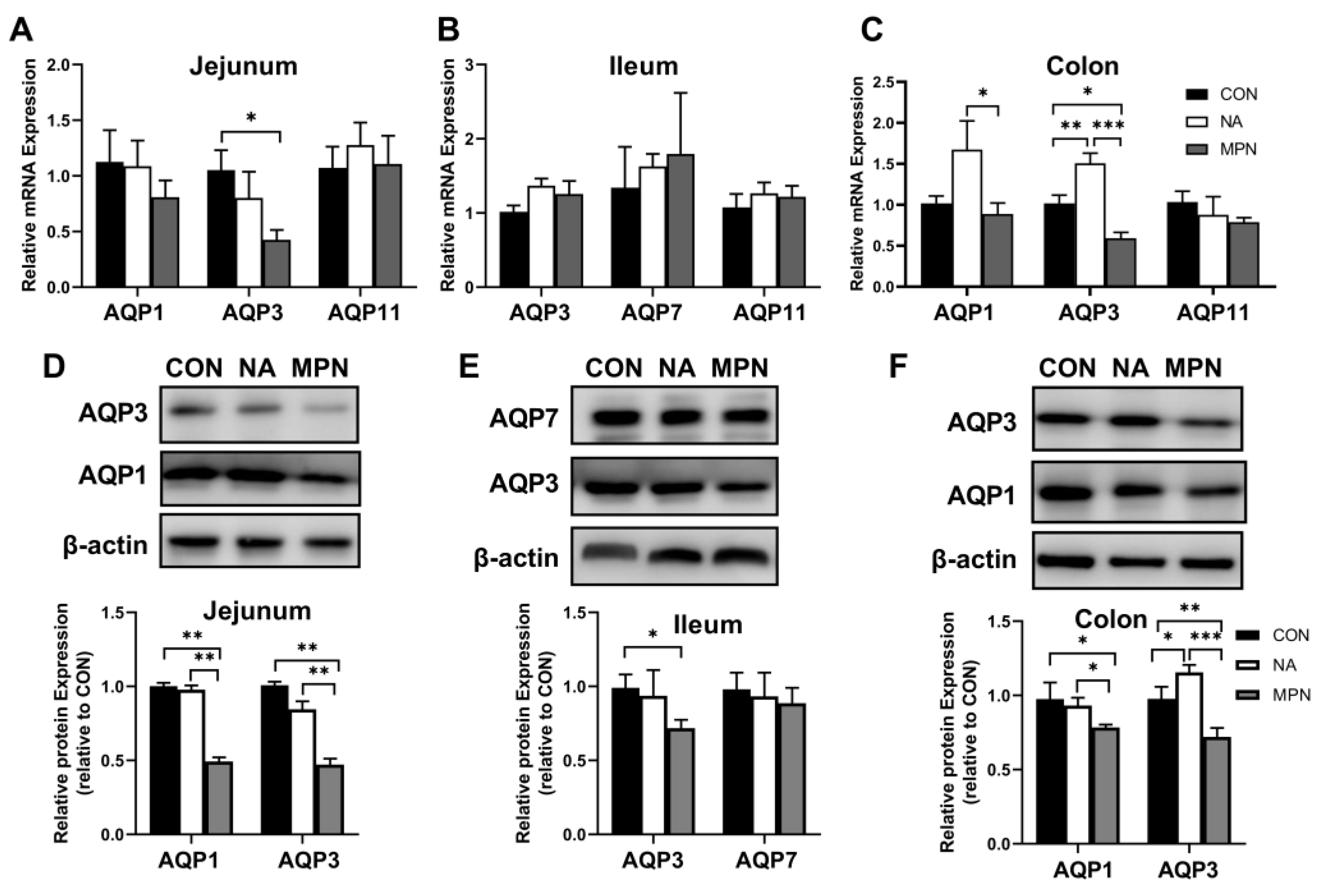 Ijms 23 08332 g002 550