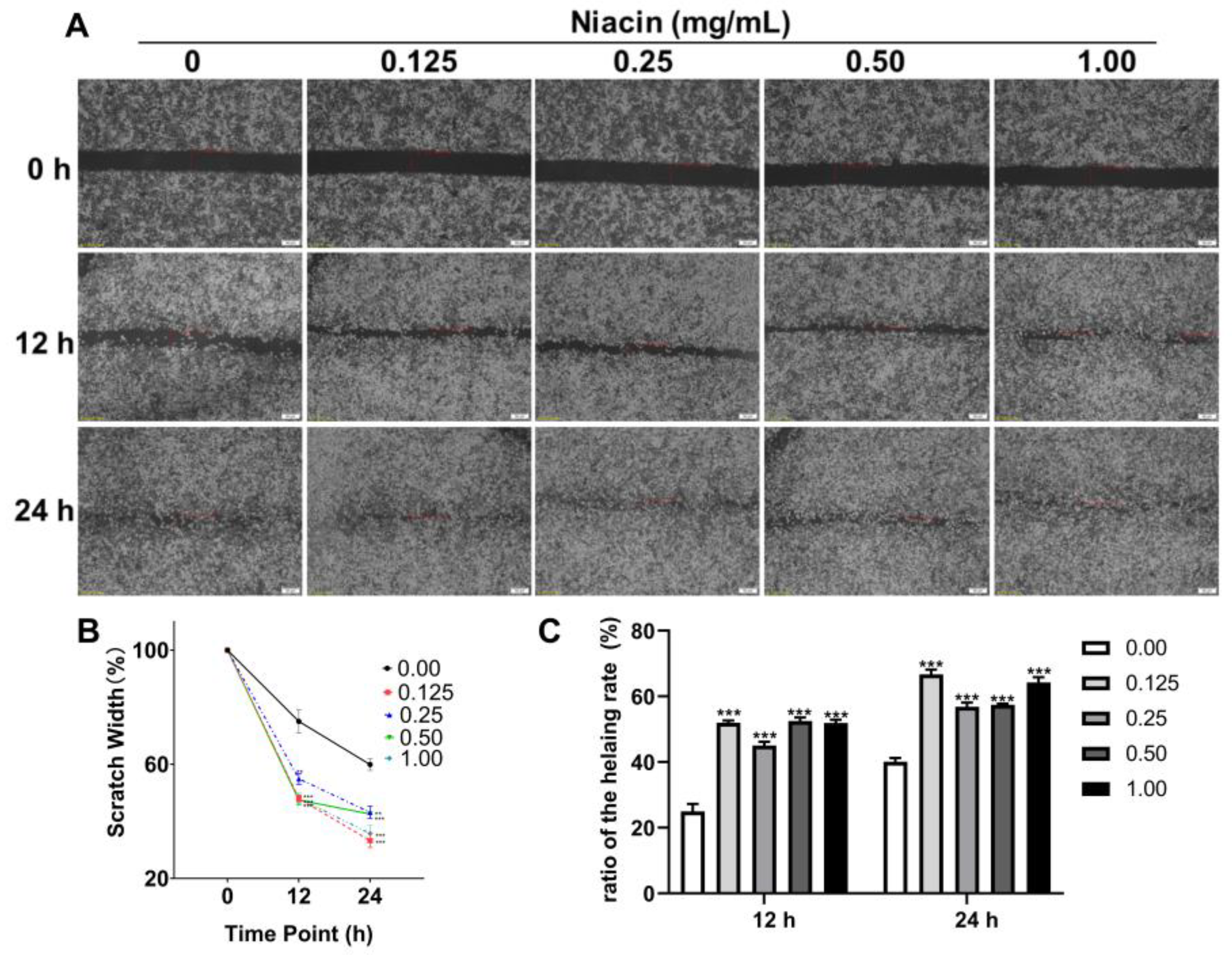 Ijms 23 08332 g004 550