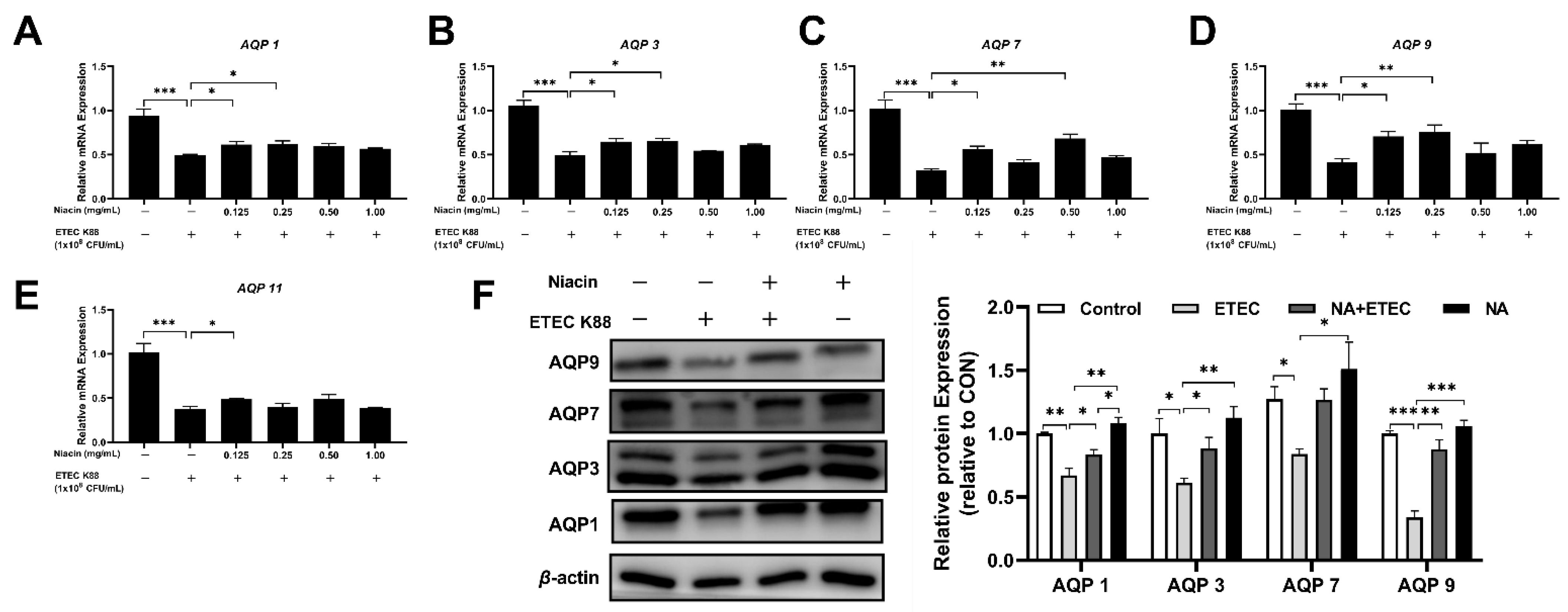 Ijms 23 08332 g005 550
