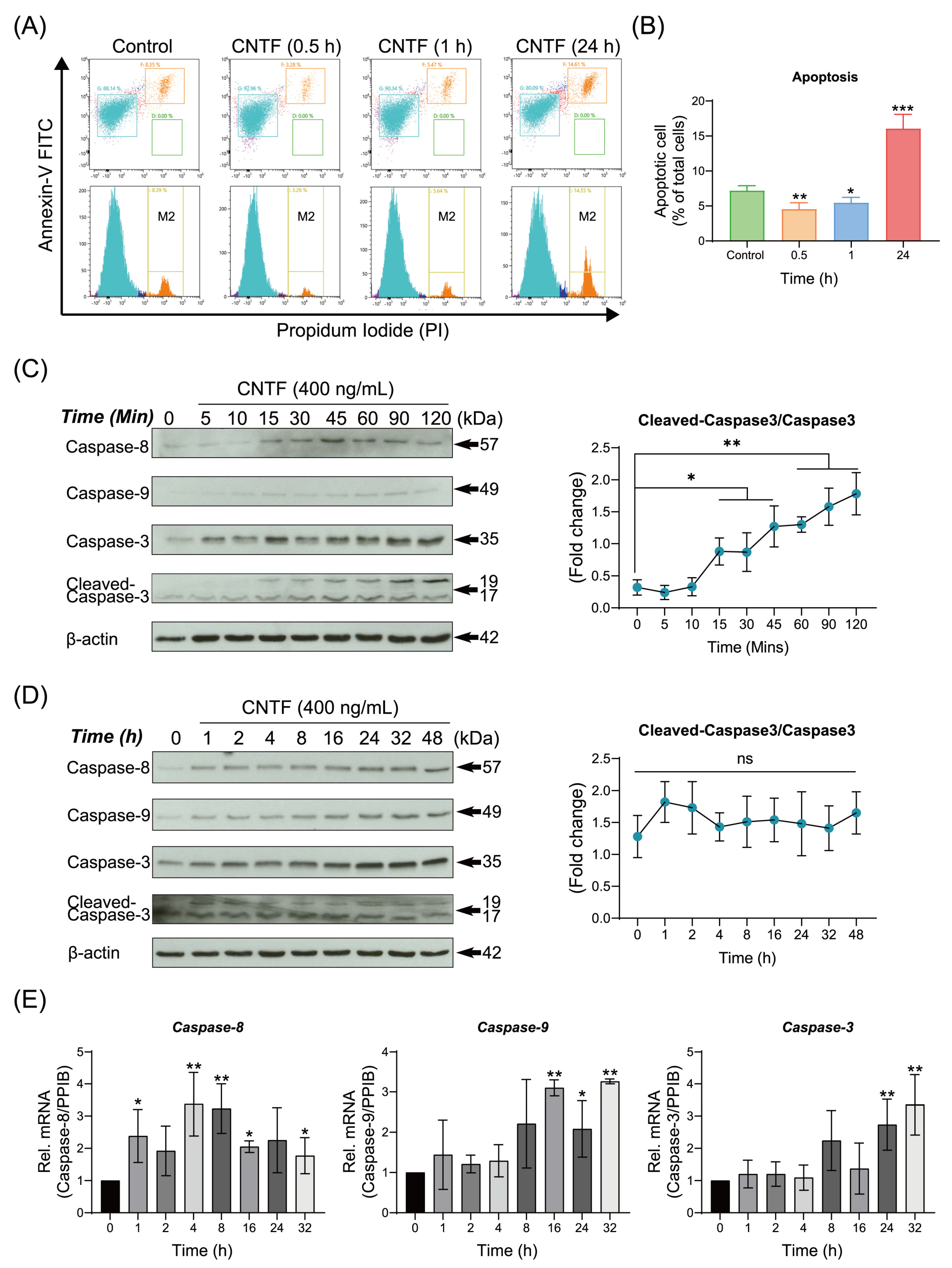 Ijms 23 08335 g004 550