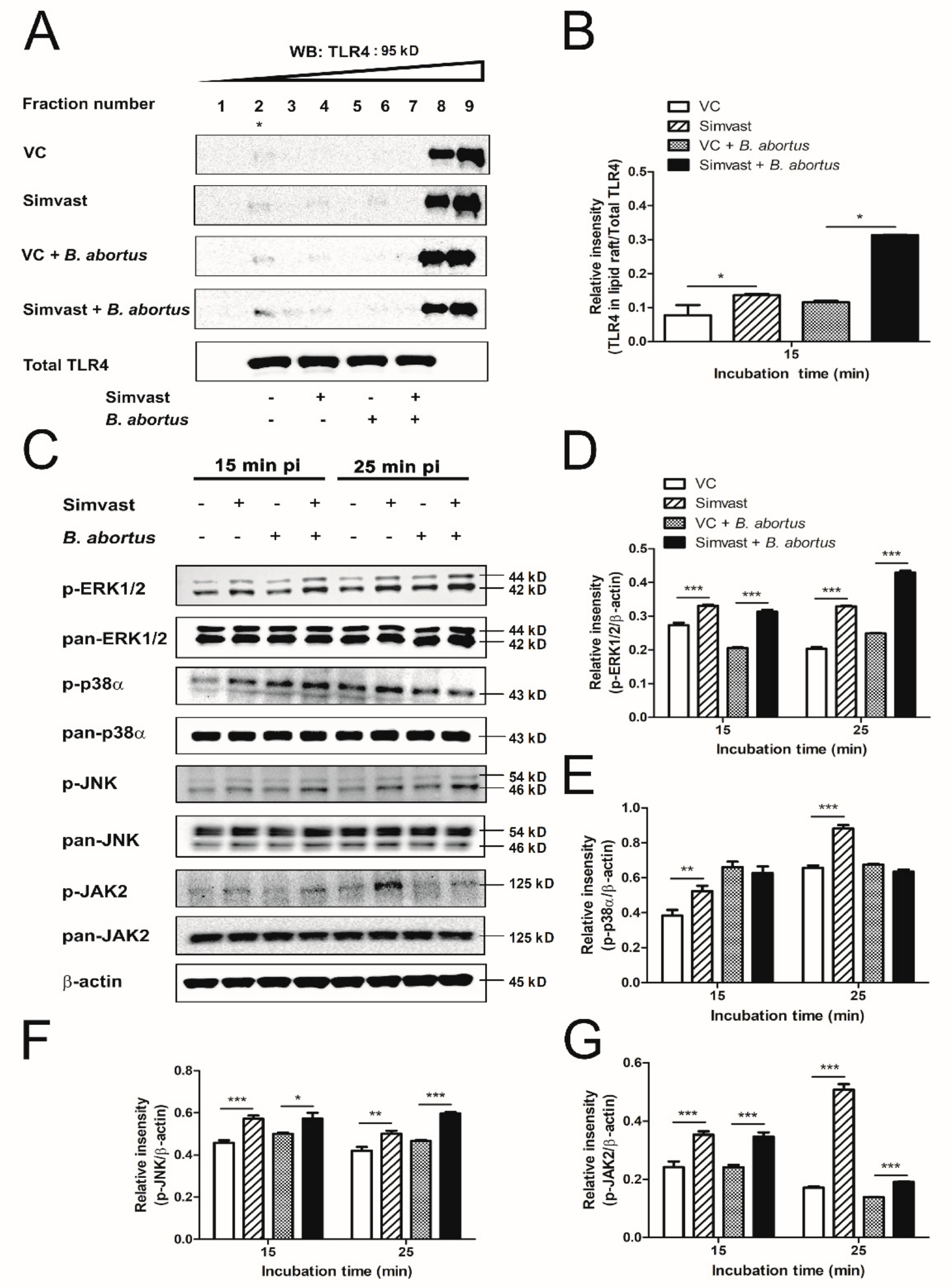 Ijms 23 08337 g002 550