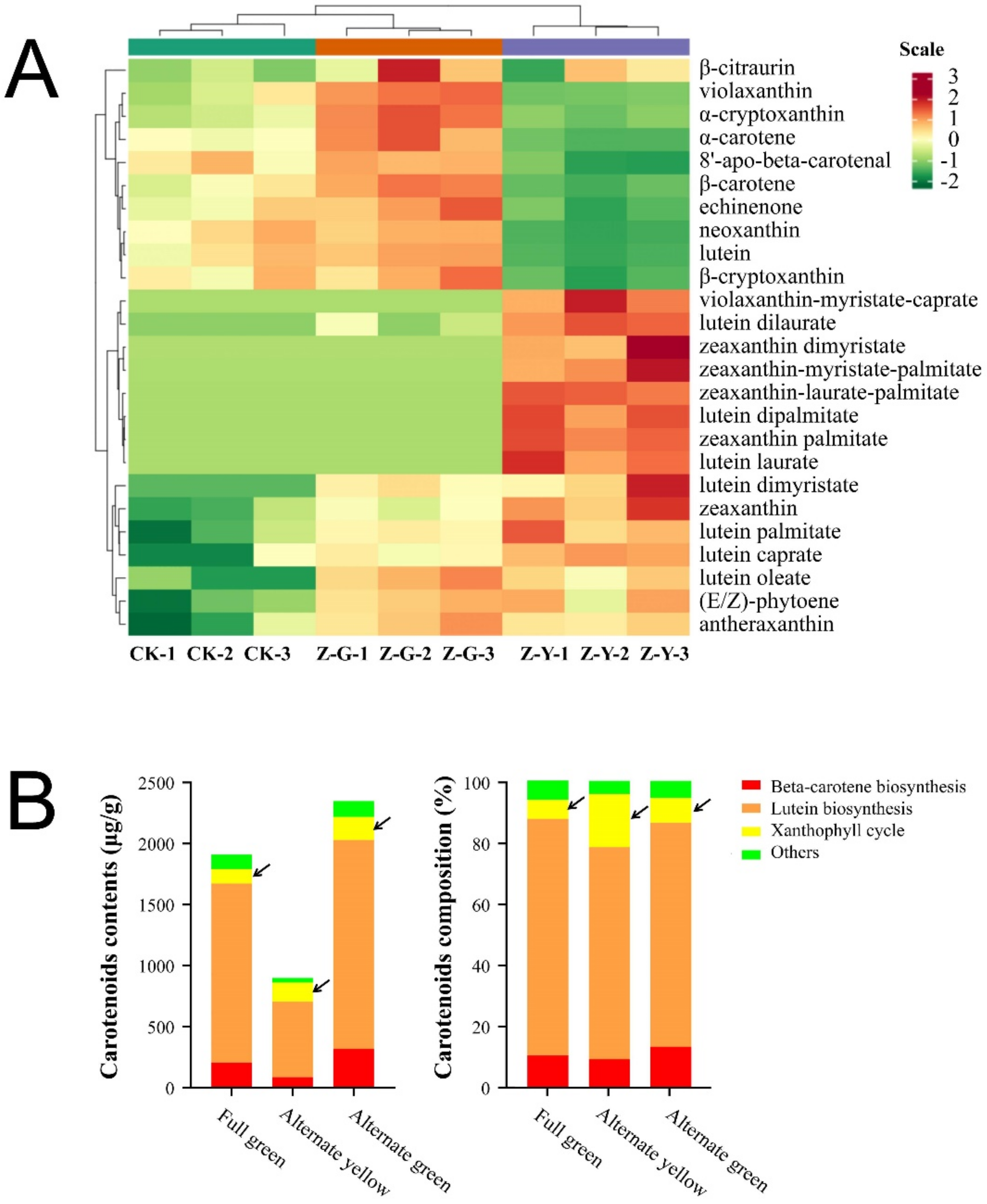 Ijms 23 08340 g002 550