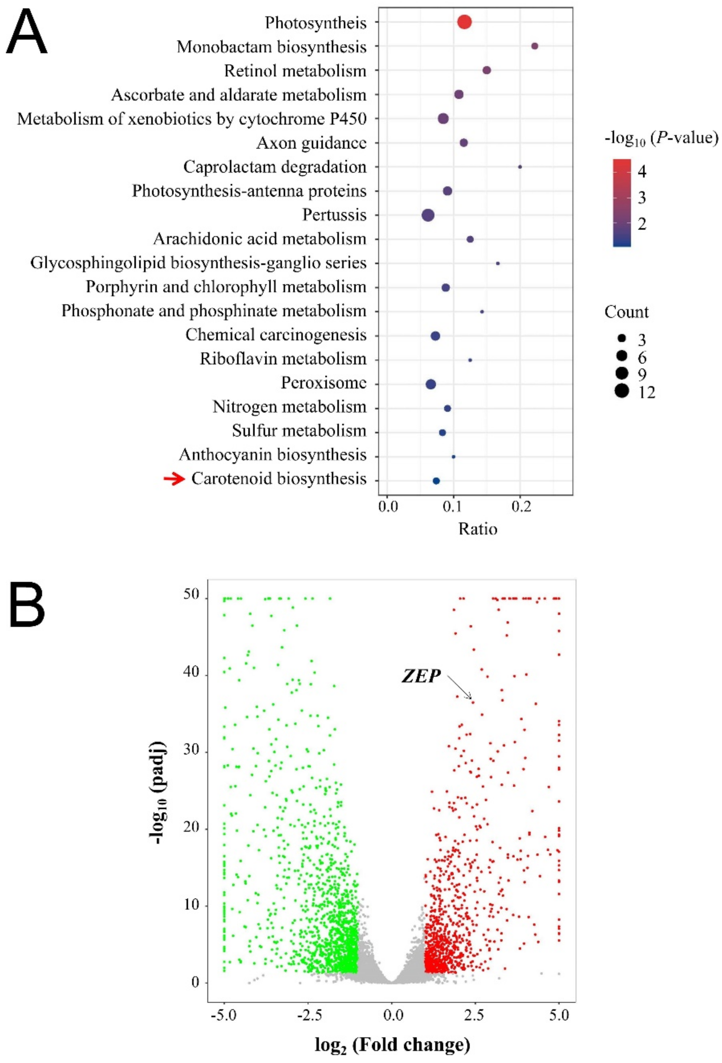 Ijms 23 08340 g003 550
