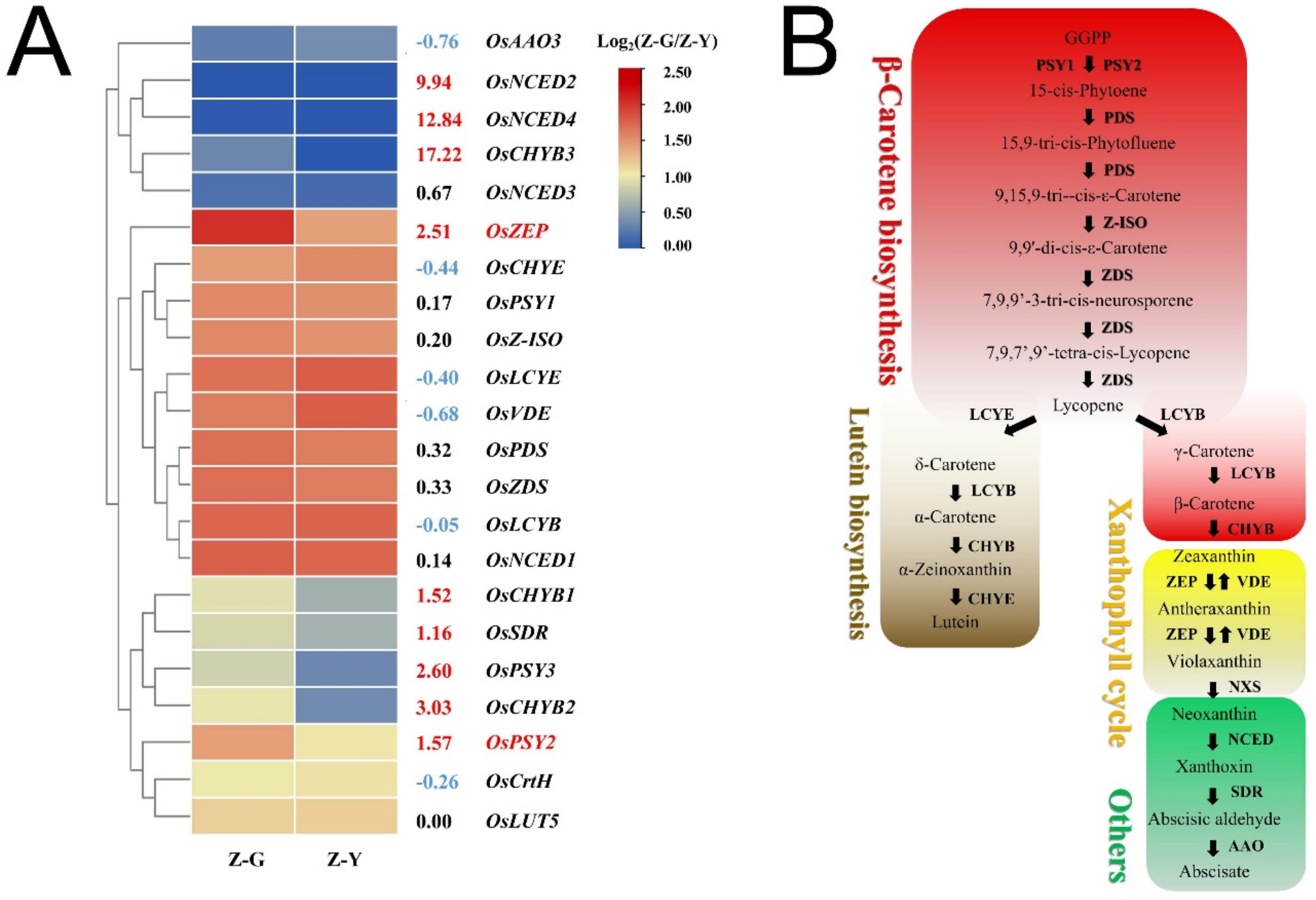 Ijms 23 08340 g004 550