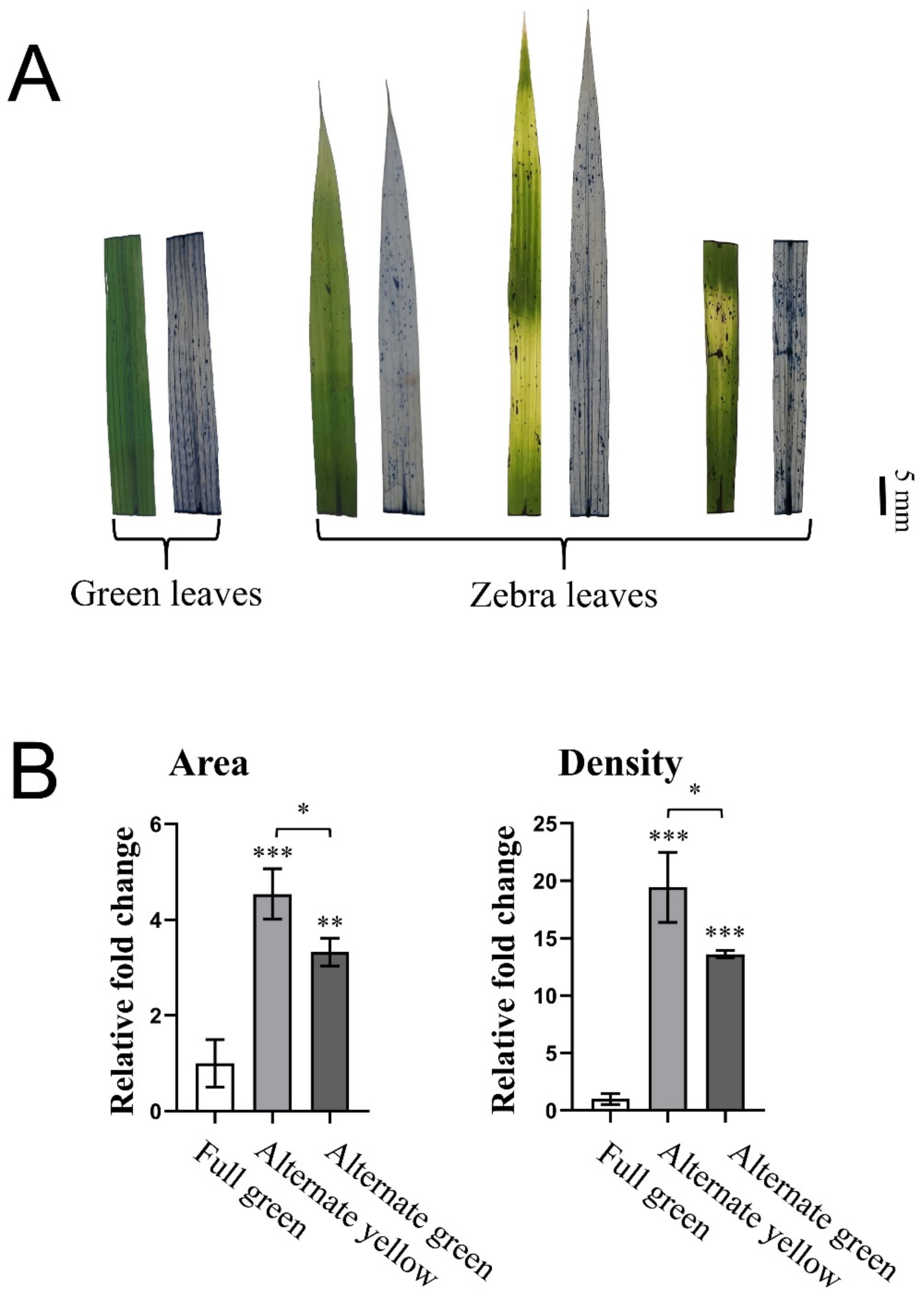 Ijms 23 08340 g006 550