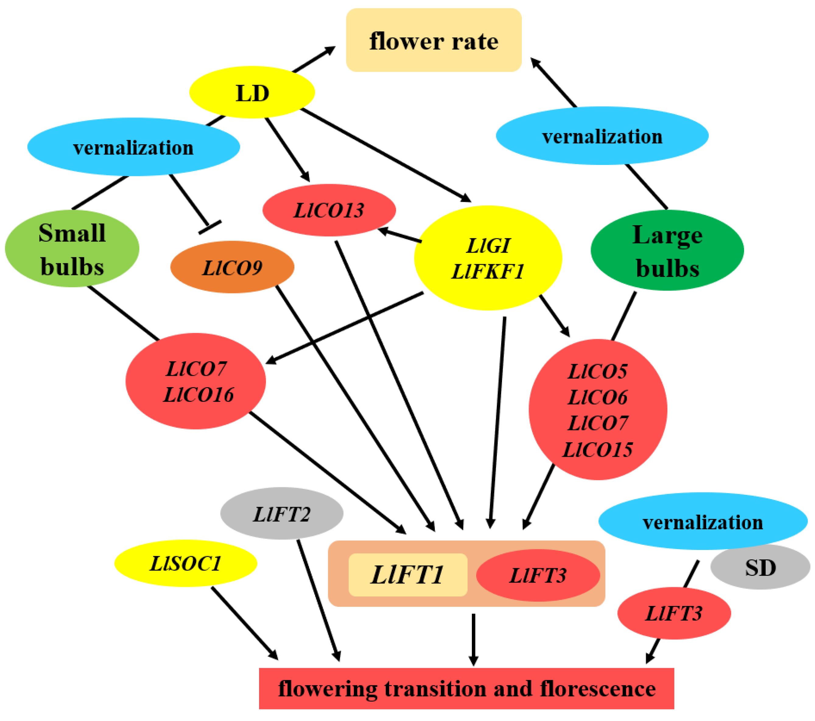 Ijms 23 08341 g005 Ijms 23 08341 g005