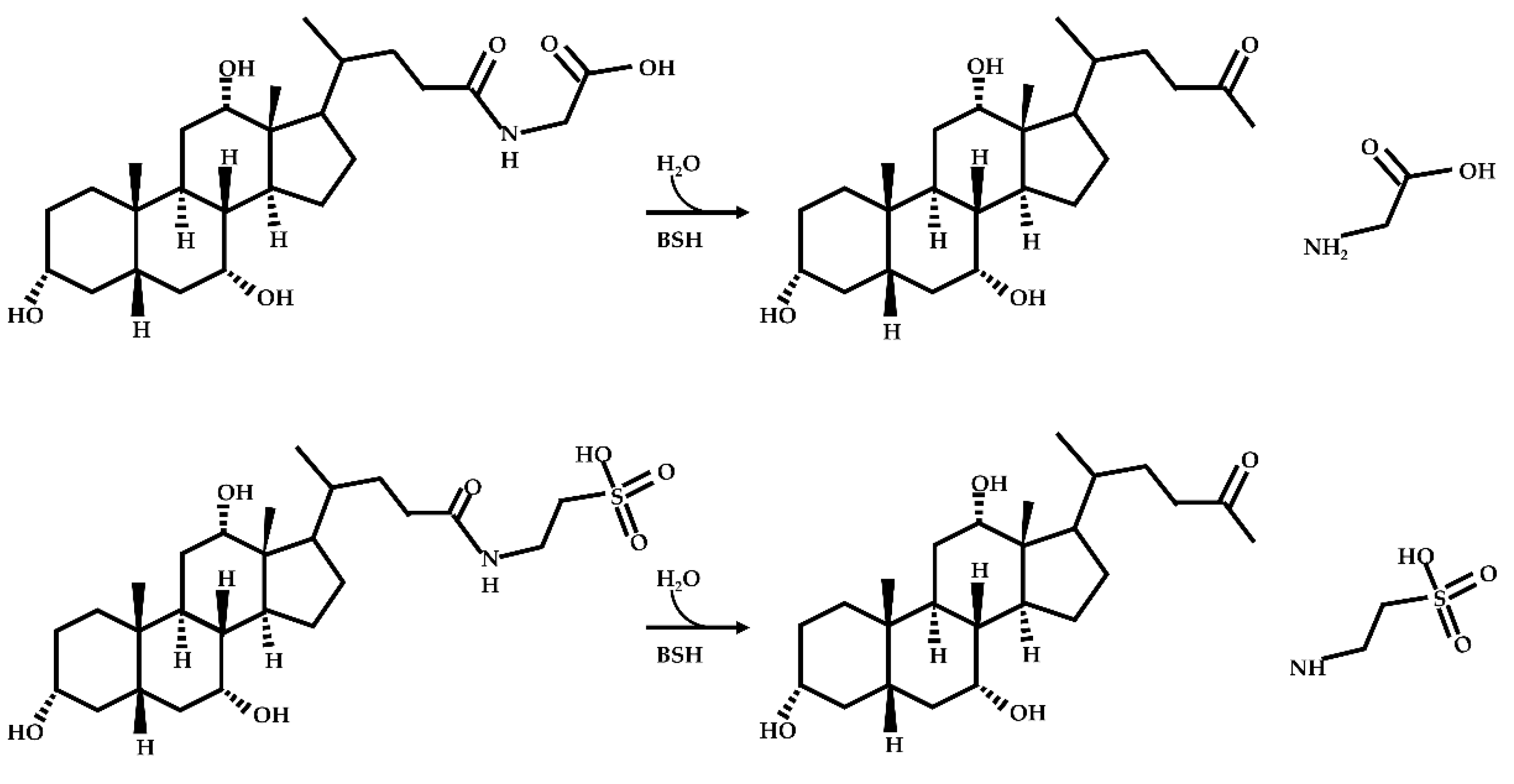 Ijms 23 08343 g002 550