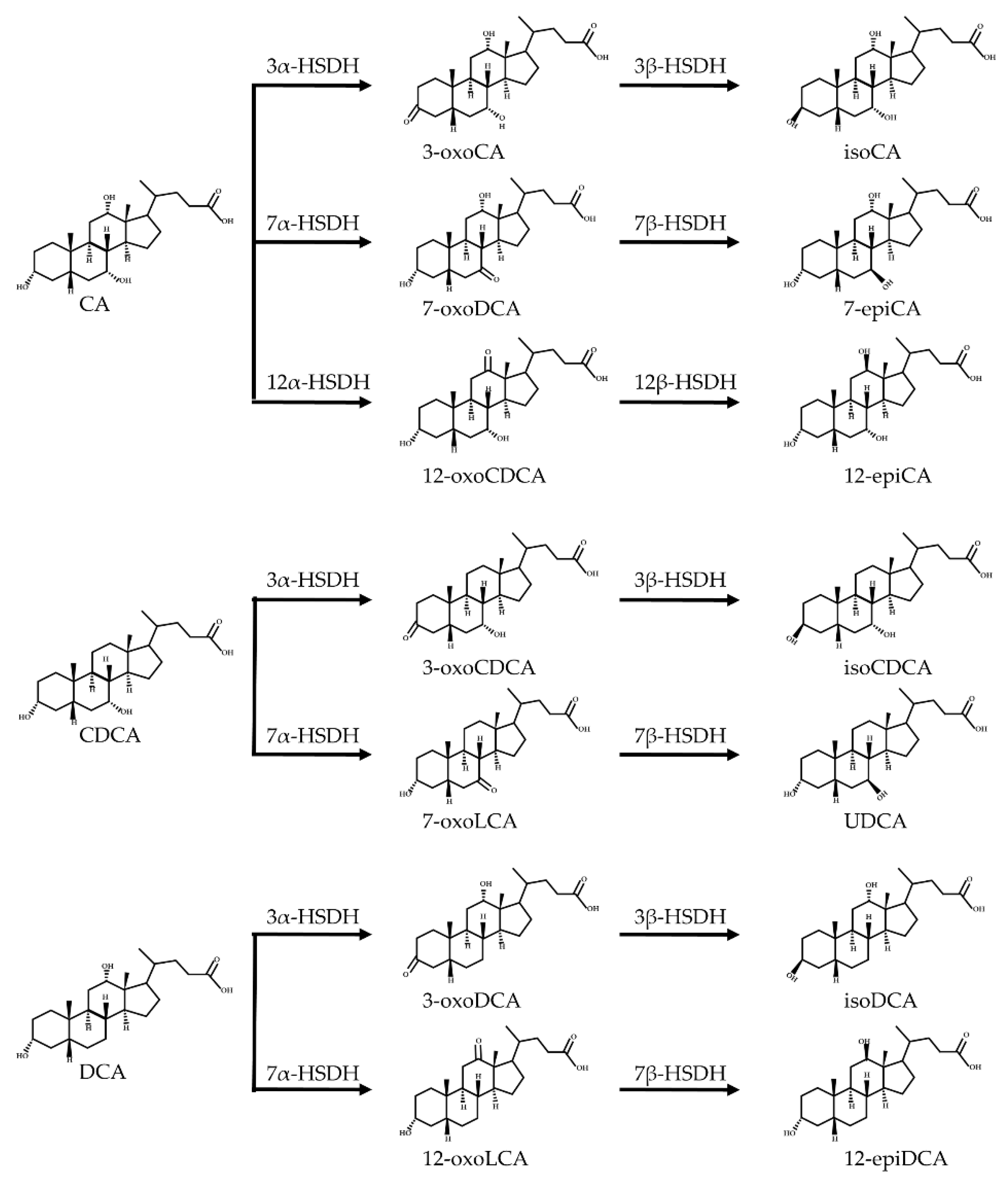 Ijms 23 08343 g004 550