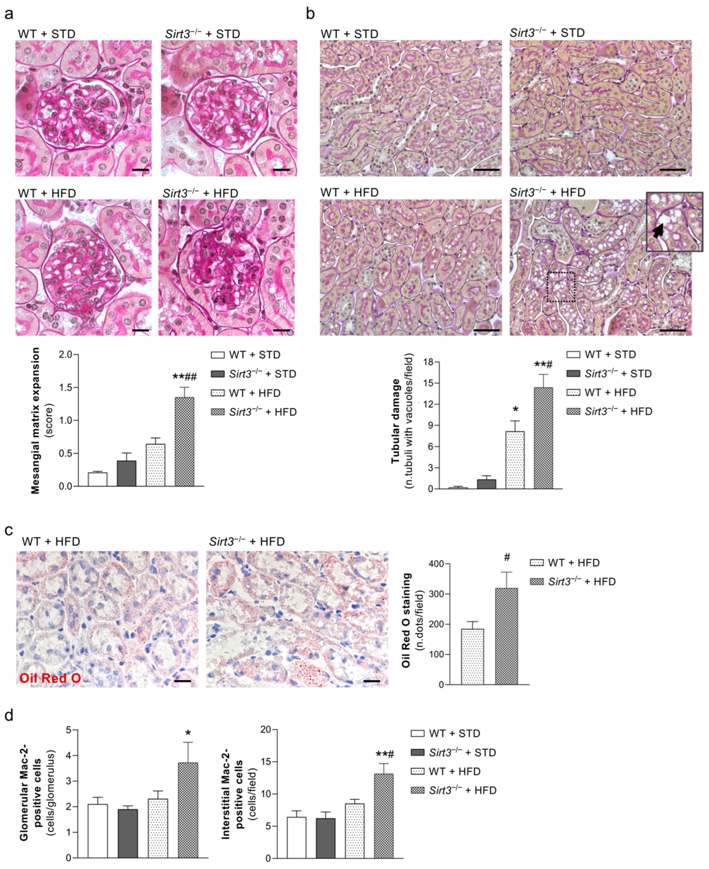 Ijms 23 08345 g003 550