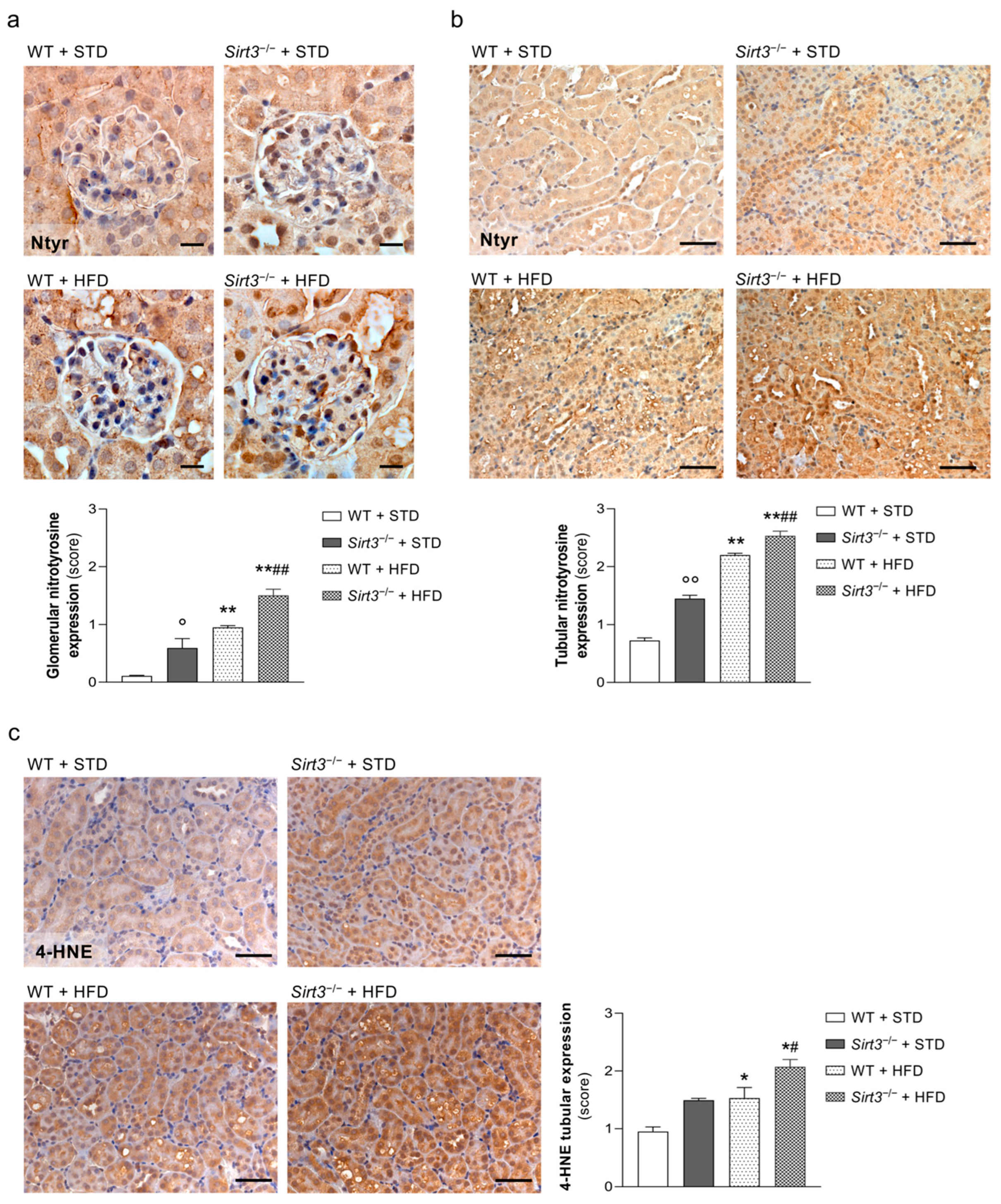 Ijms 23 08345 g005 550