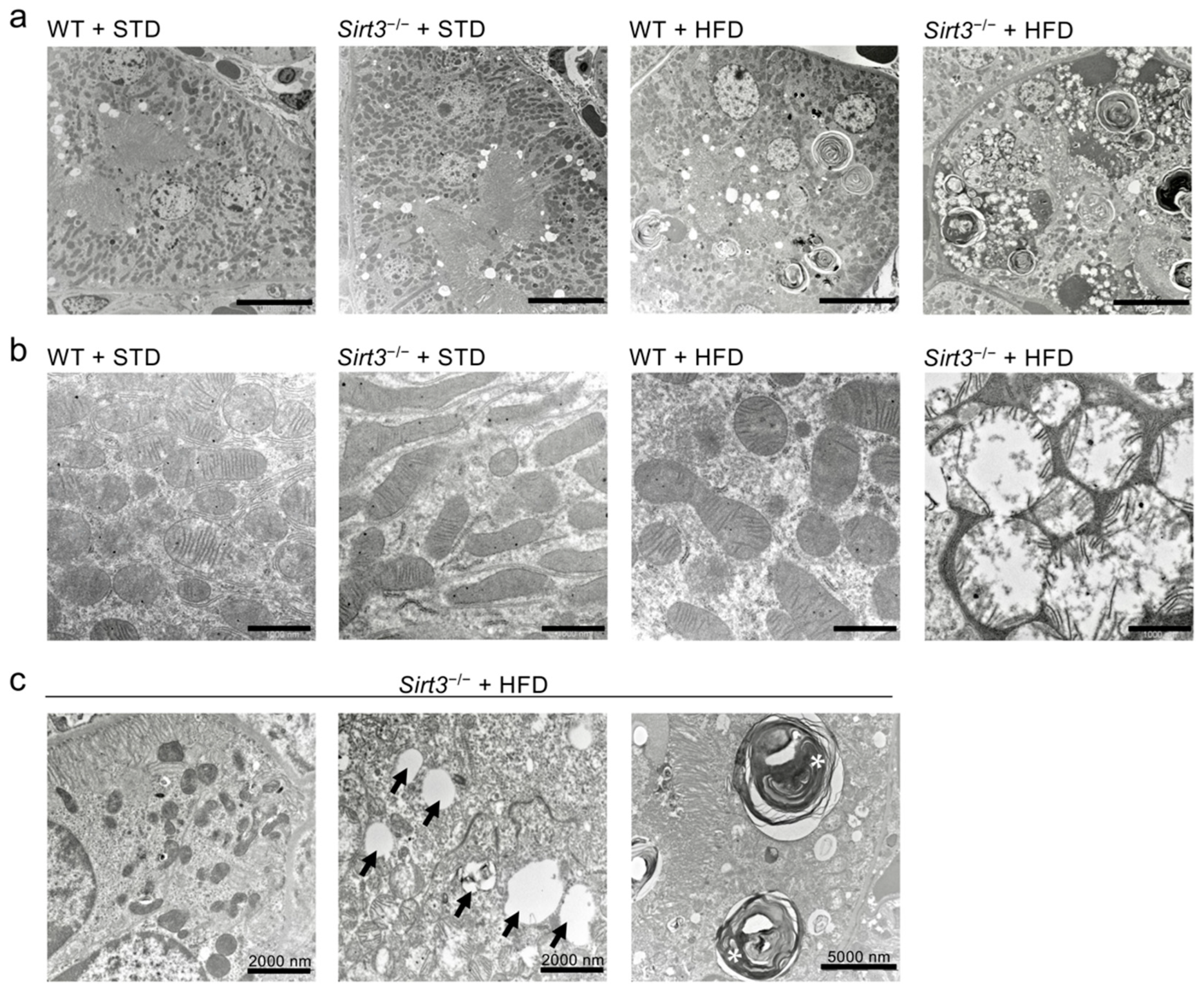 Ijms 23 08345 g006 550