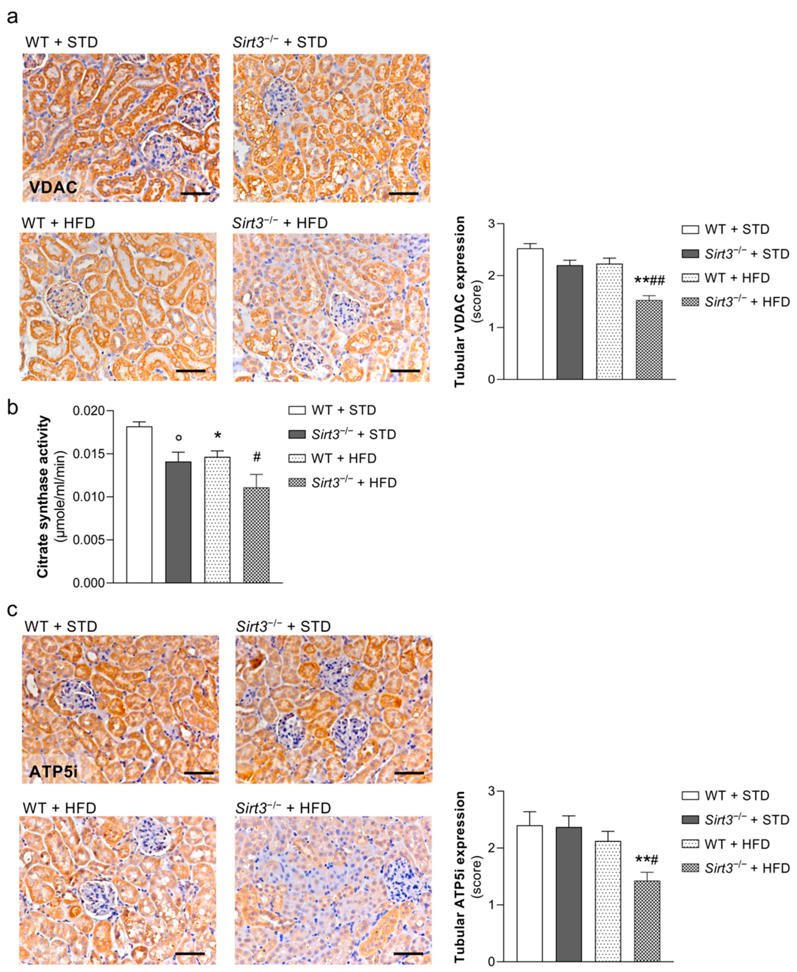 Ijms 23 08345 g007 550