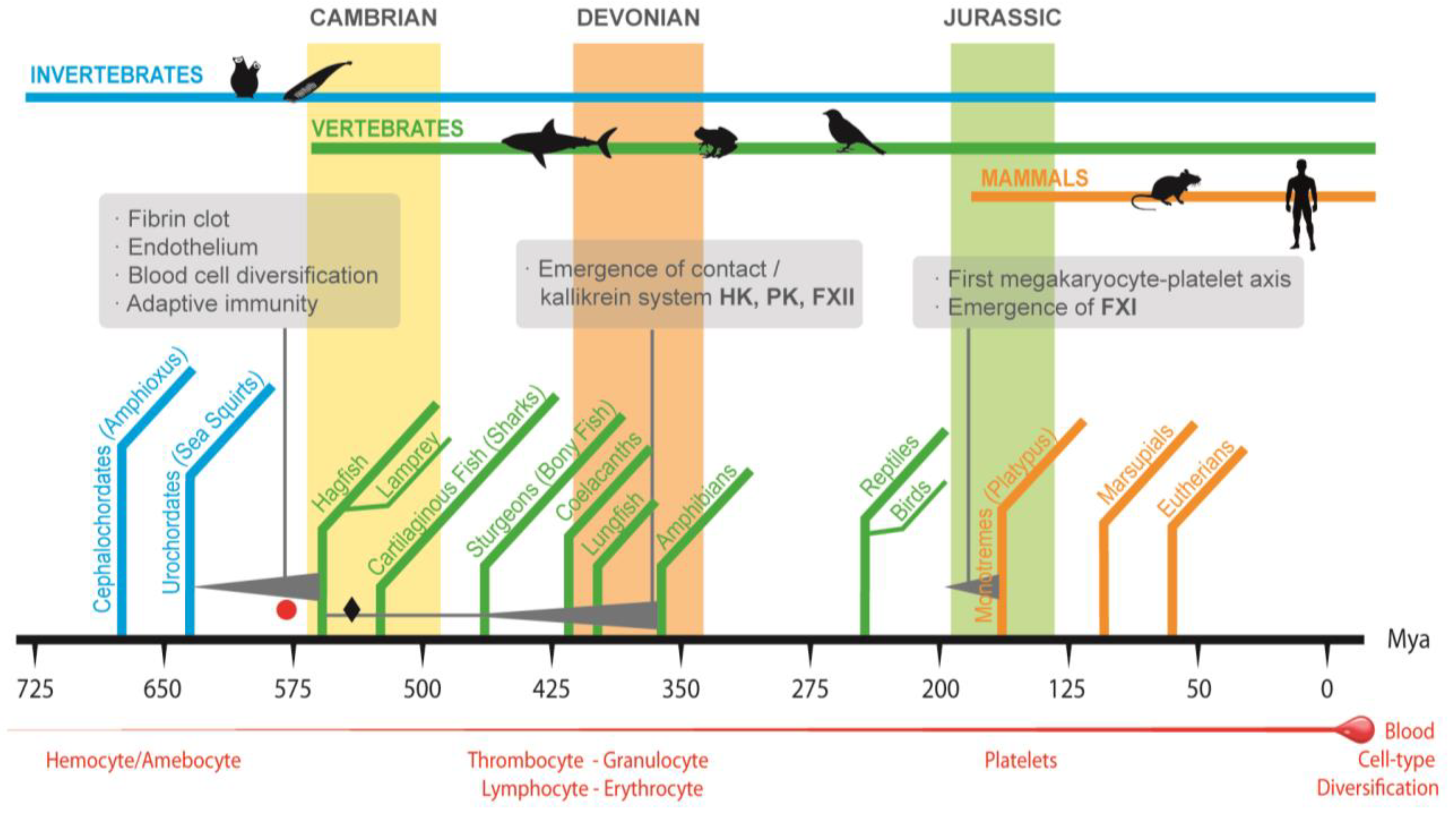 Ijms 23 08346 g001 Ijms 23 08346 g001