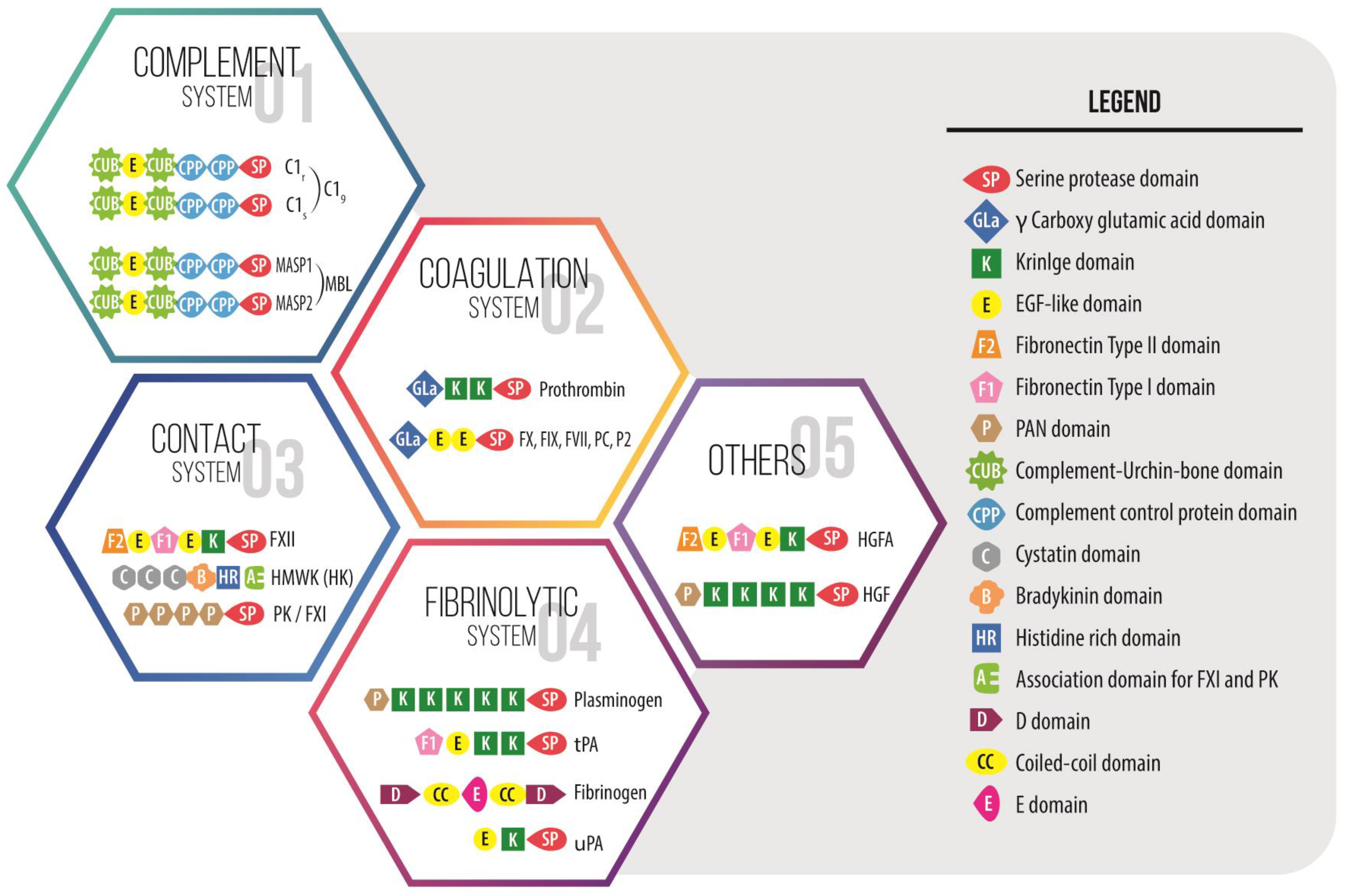 Ijms 23 08346 g002 Ijms 23 08346 g002