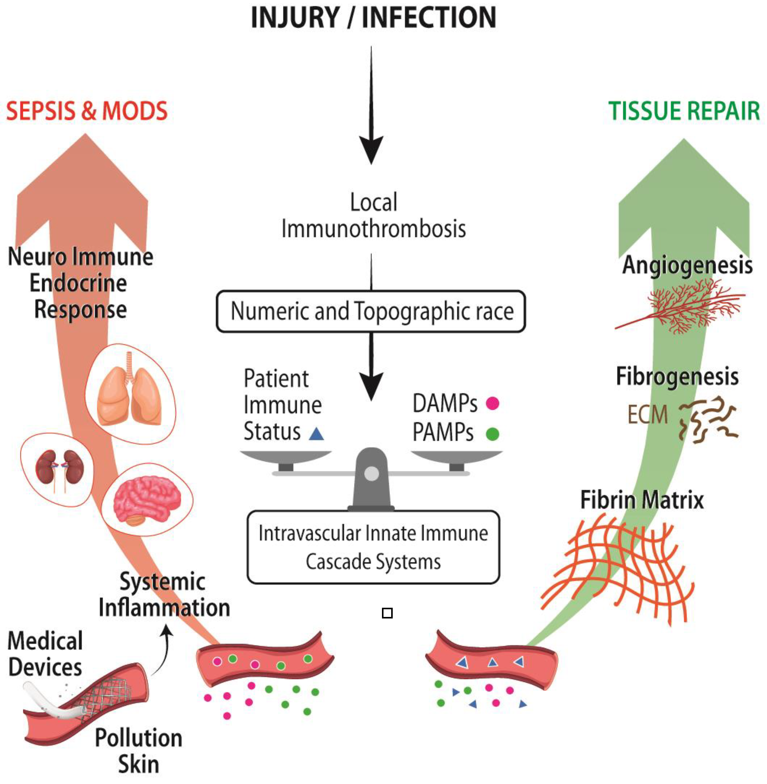 Ijms 23 08346 g003 Ijms 23 08346 g003