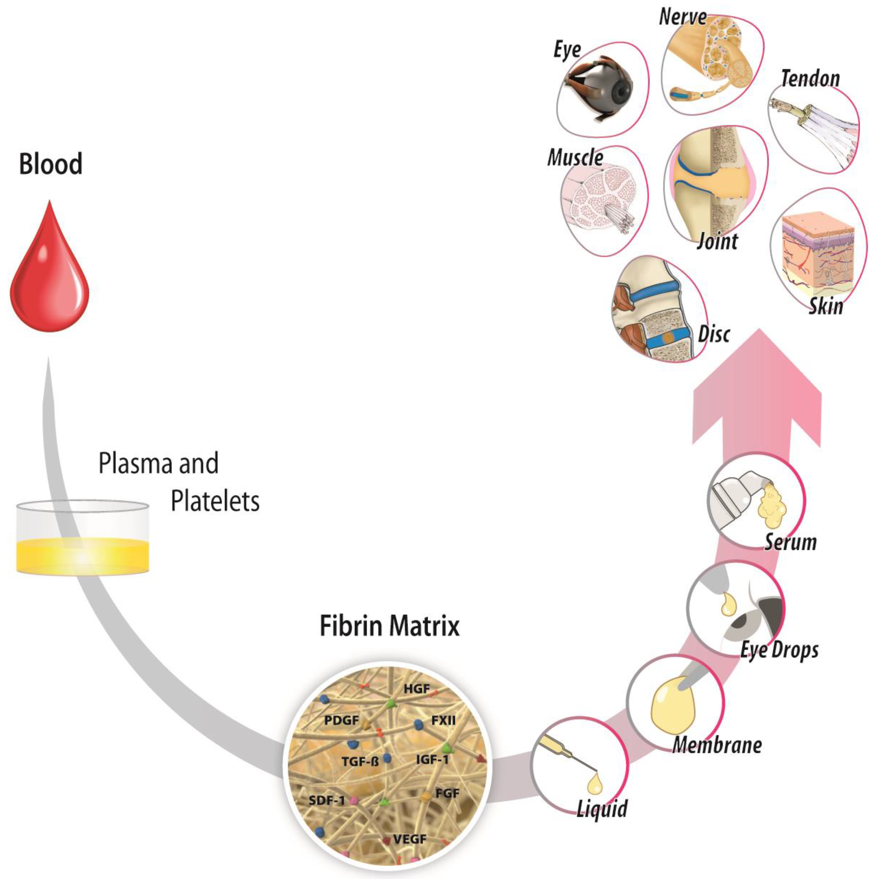 Ijms 23 08346 g004 Ijms 23 08346 g004