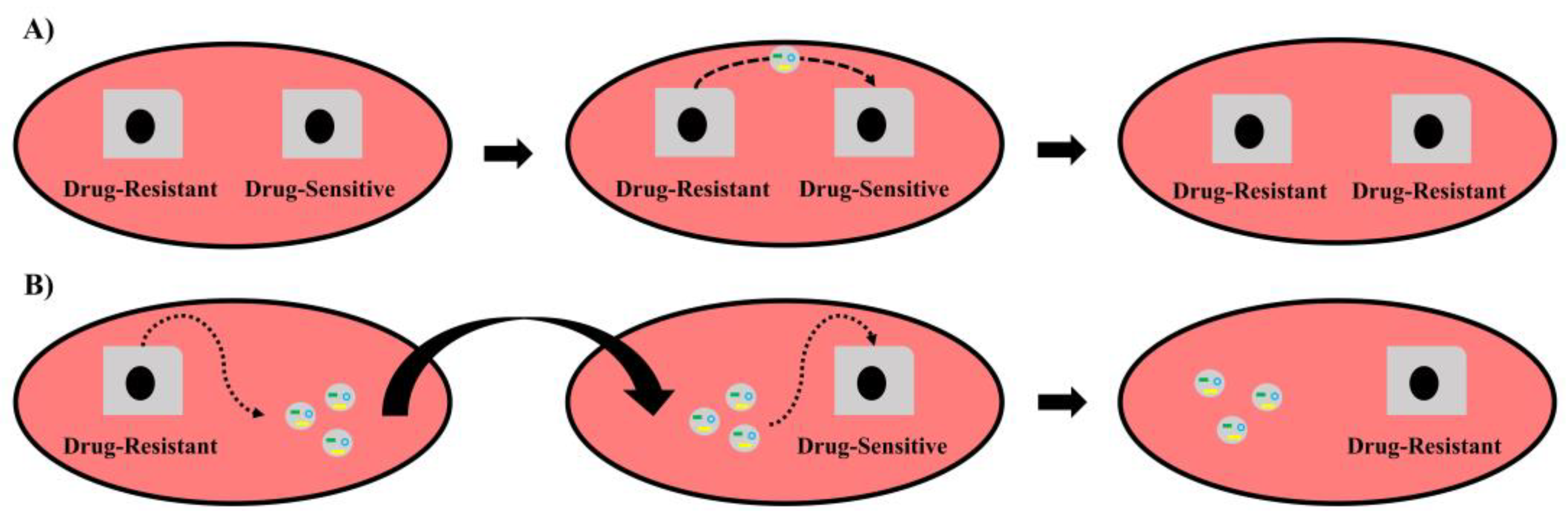 Ijms 23 08351 g002 550