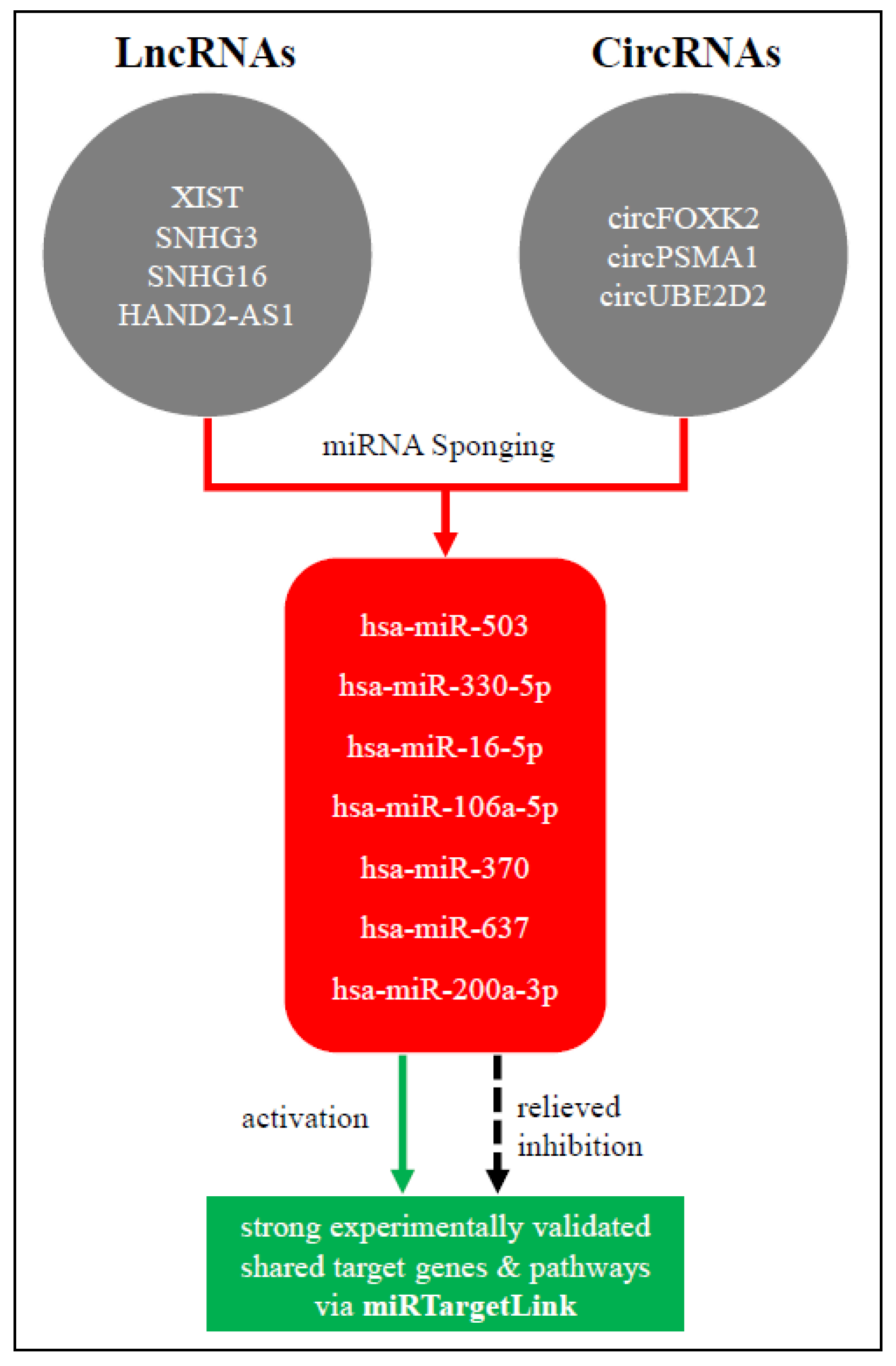 Ijms 23 08351 g003 550