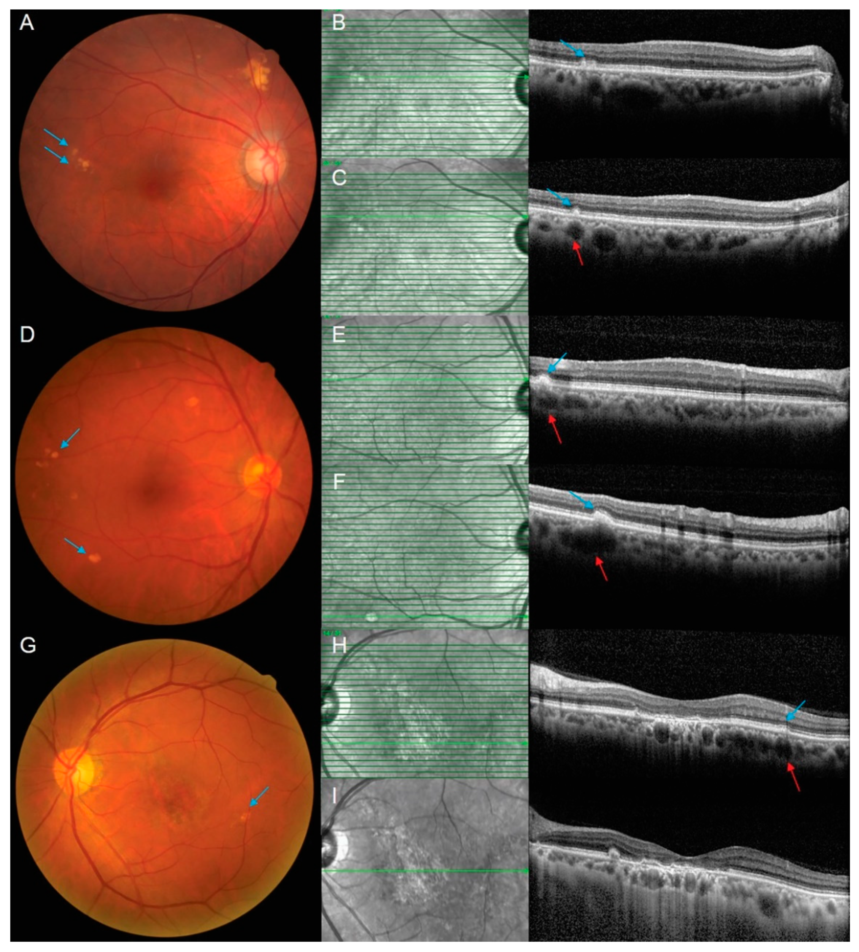 Ijms 23 08353 g003 550