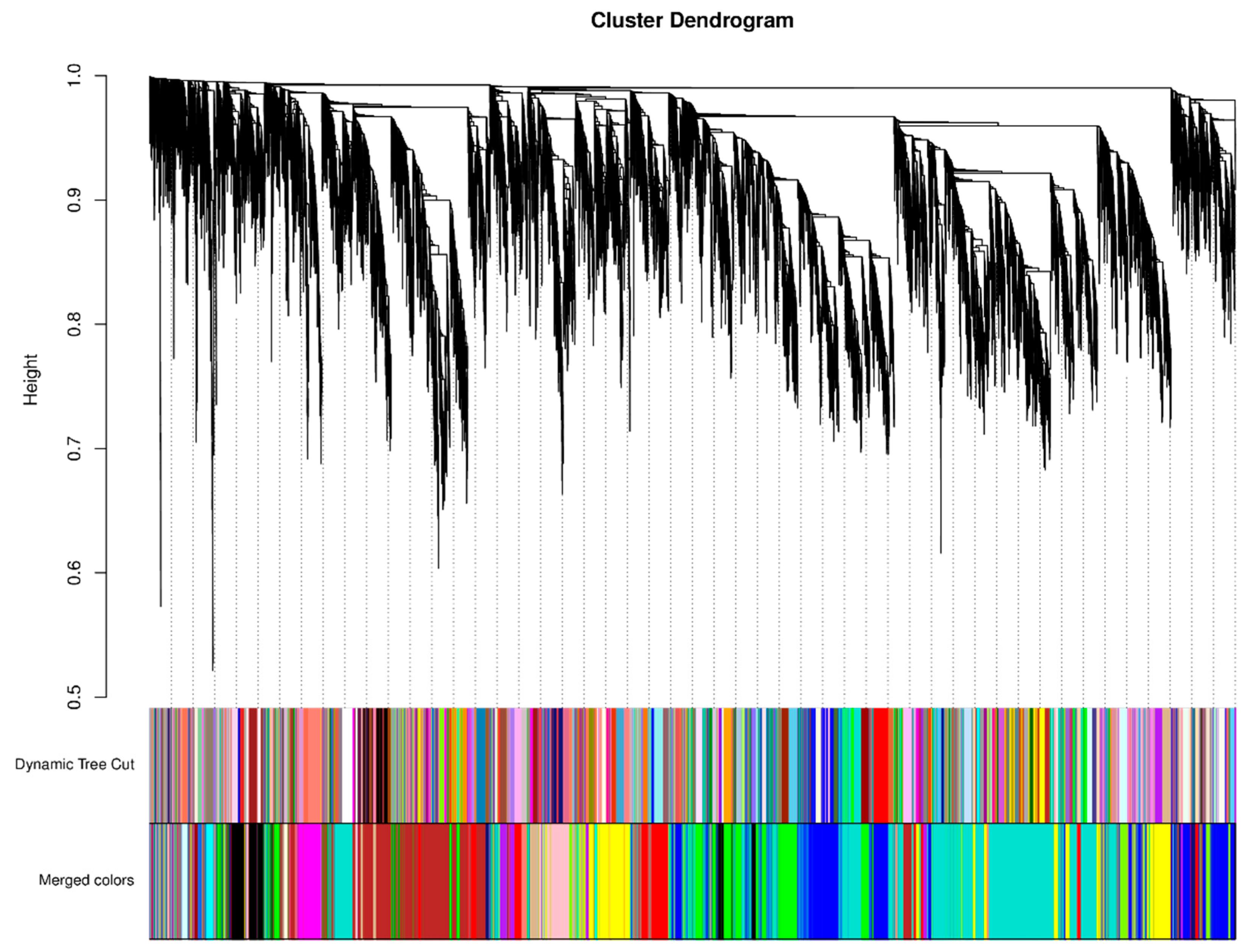 Ijms 23 08357 g005 550