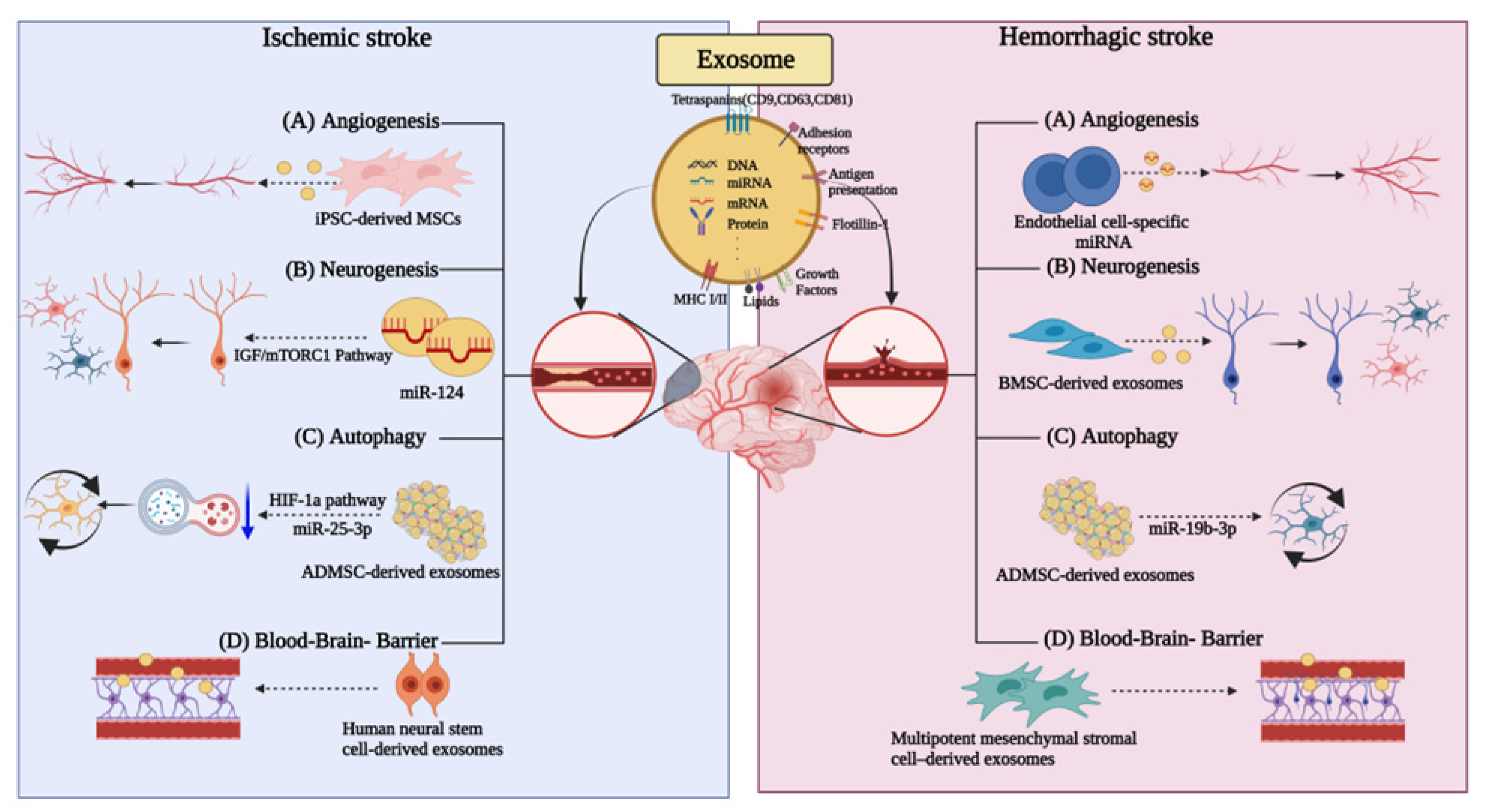Ijms 23 08367 g002 550