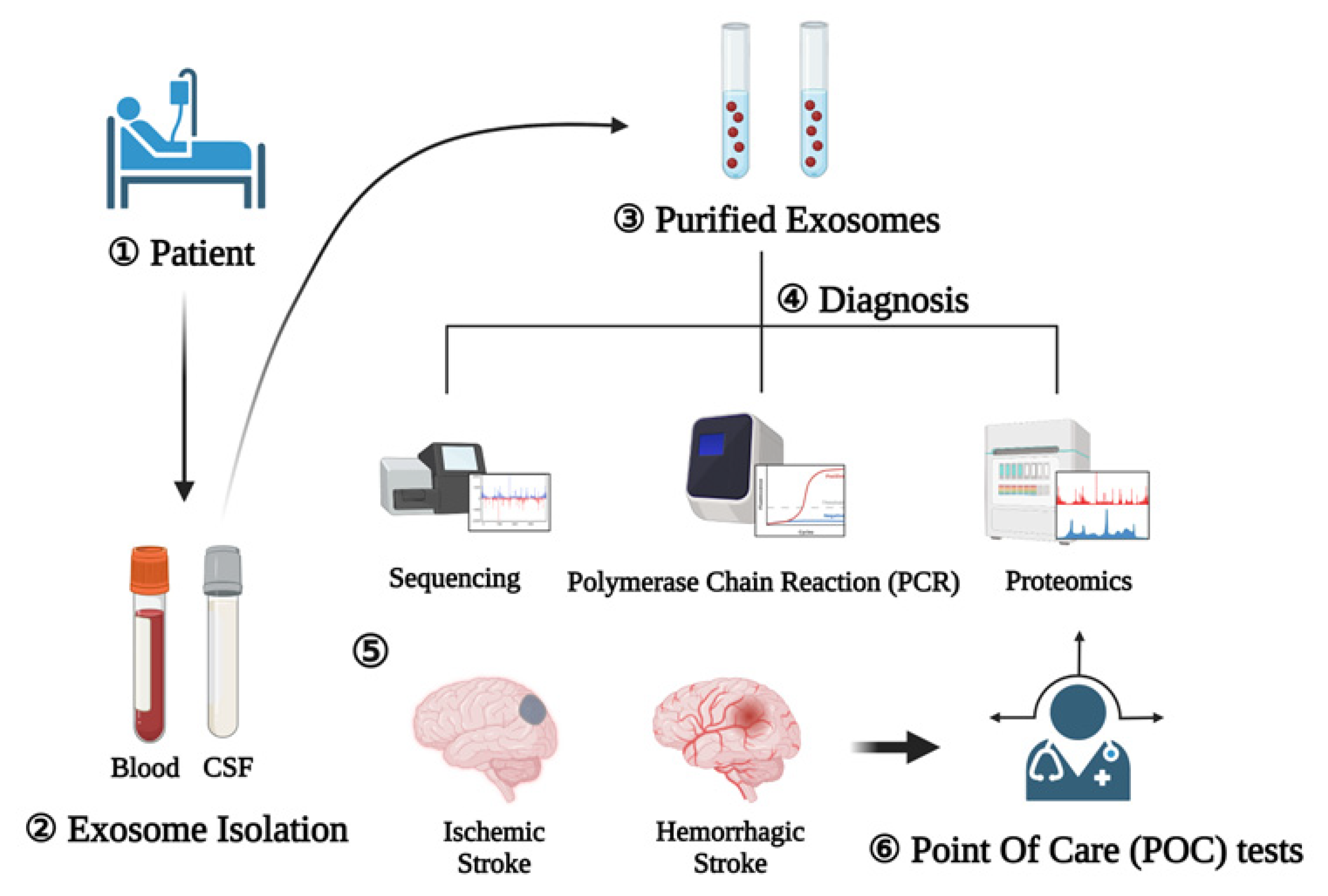 Ijms 23 08367 g003 550