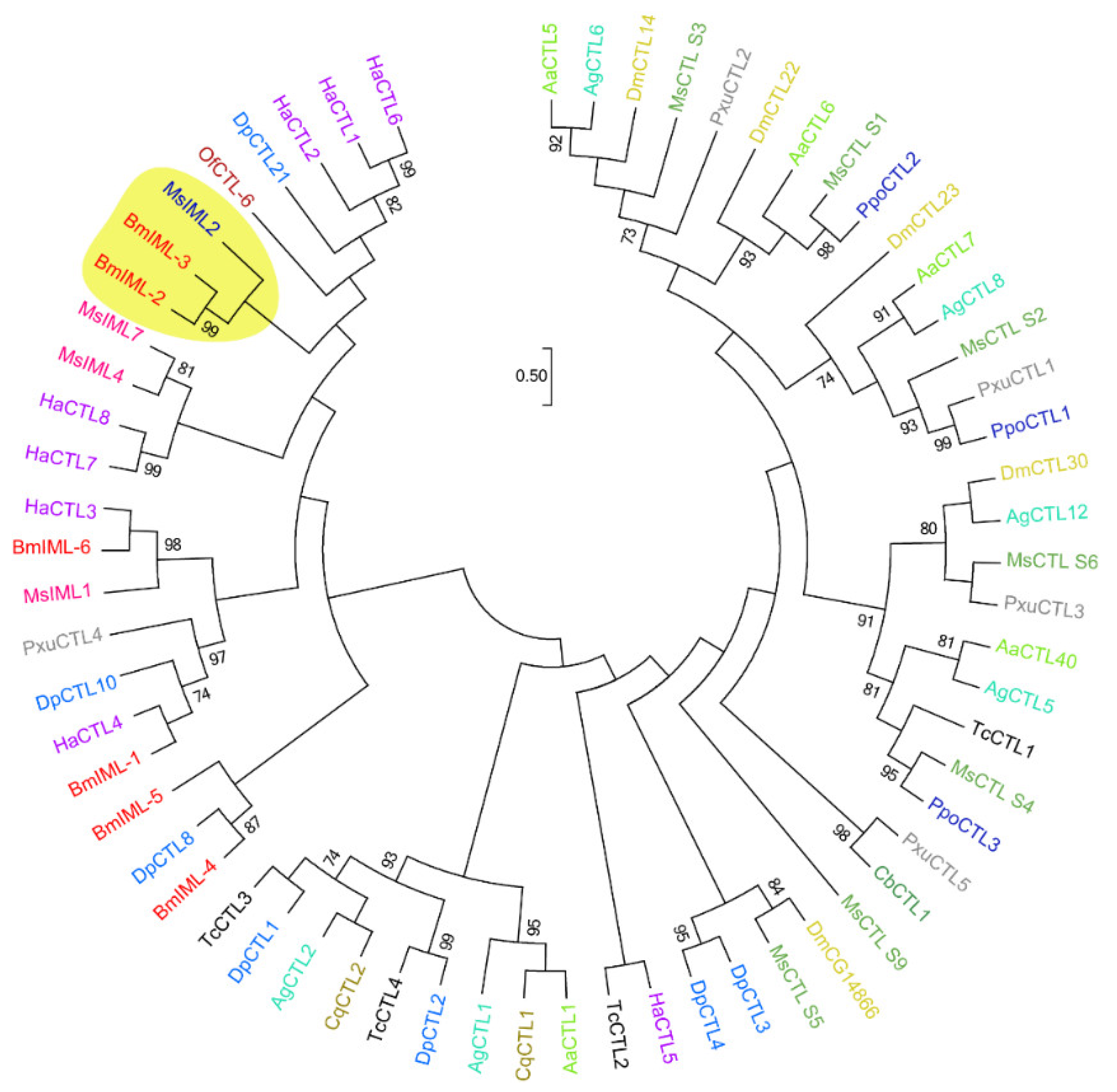 Ijms 23 08369 g002 550