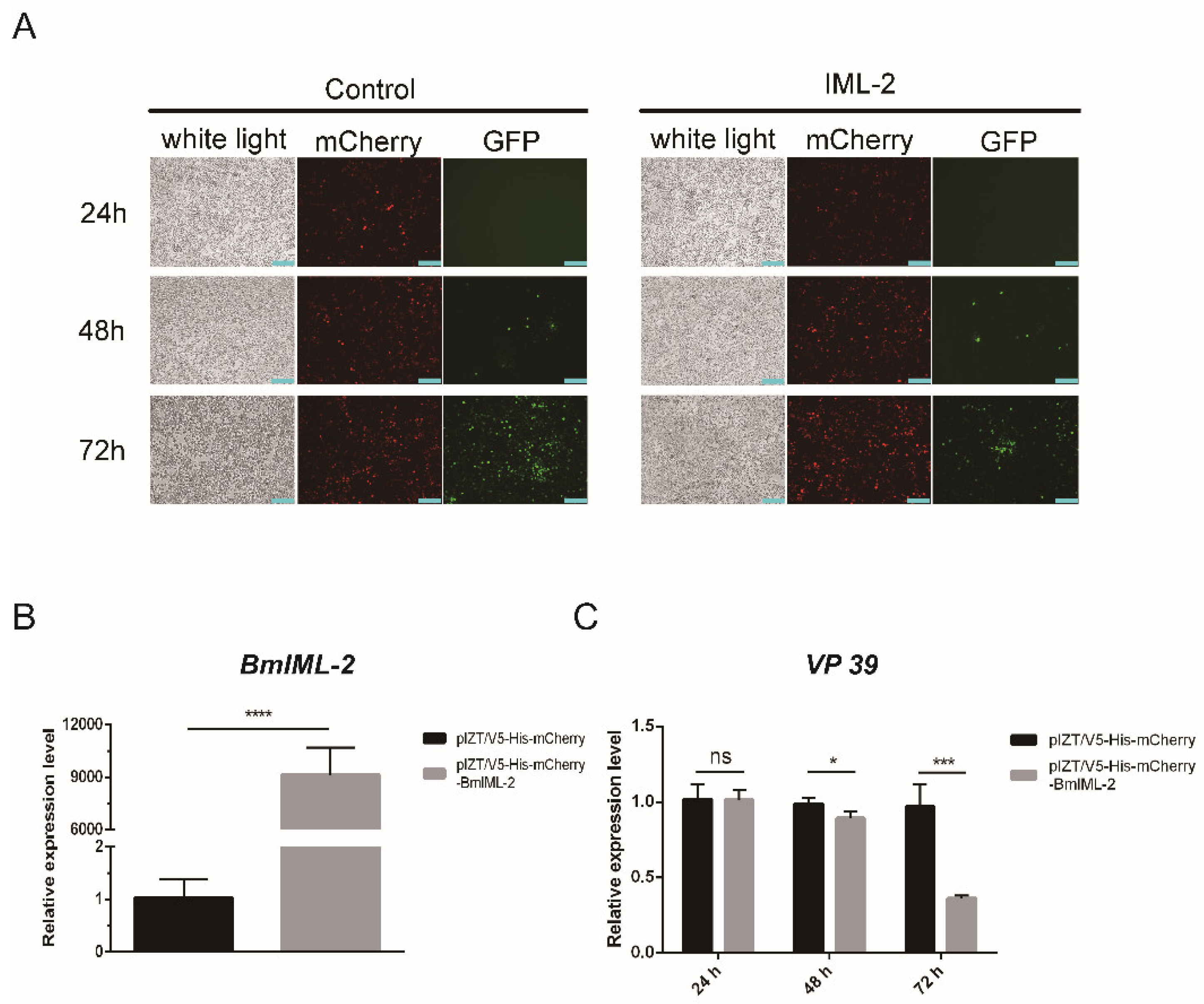 Ijms 23 08369 g004 550