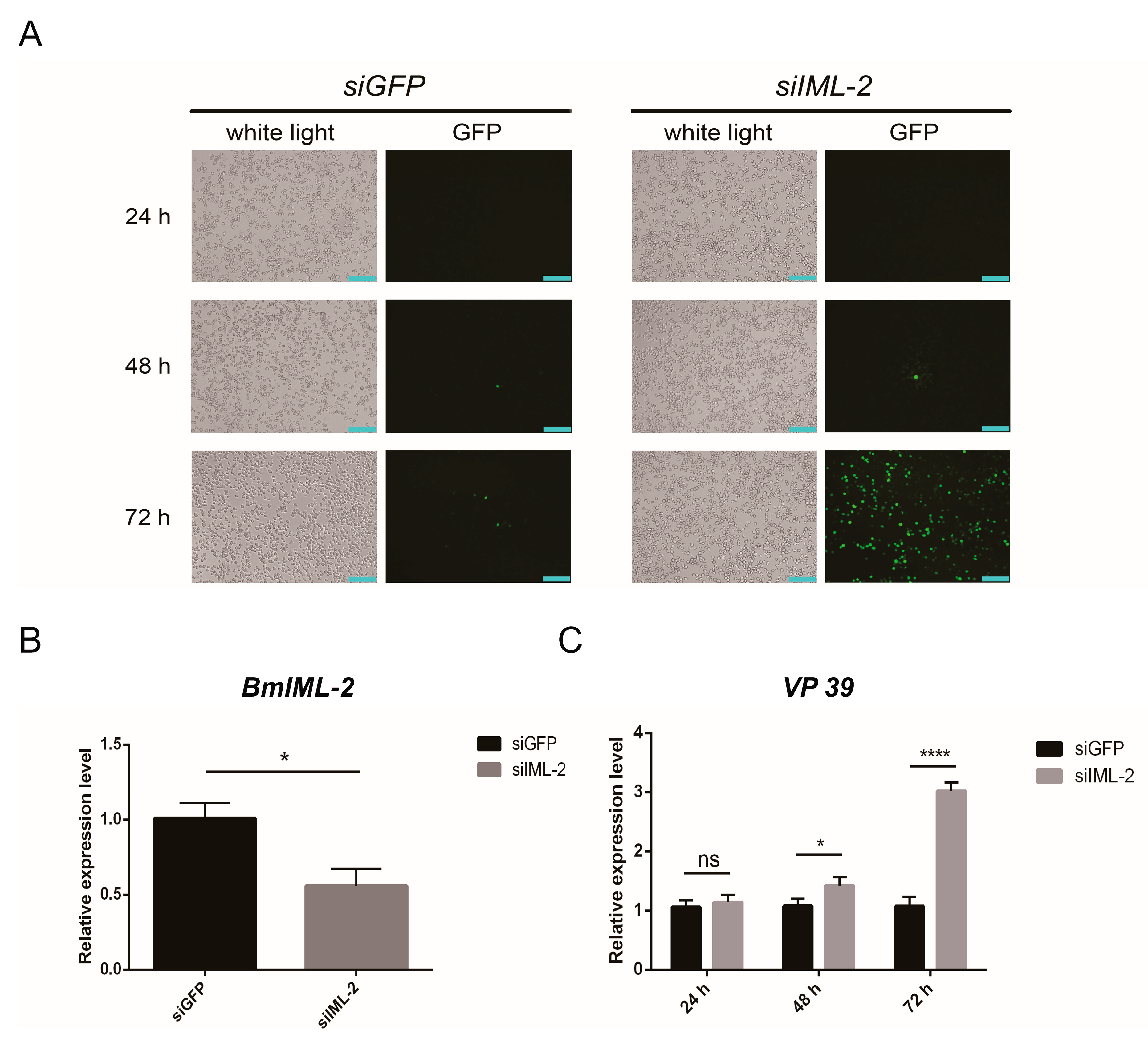 Ijms 23 08369 g005 550