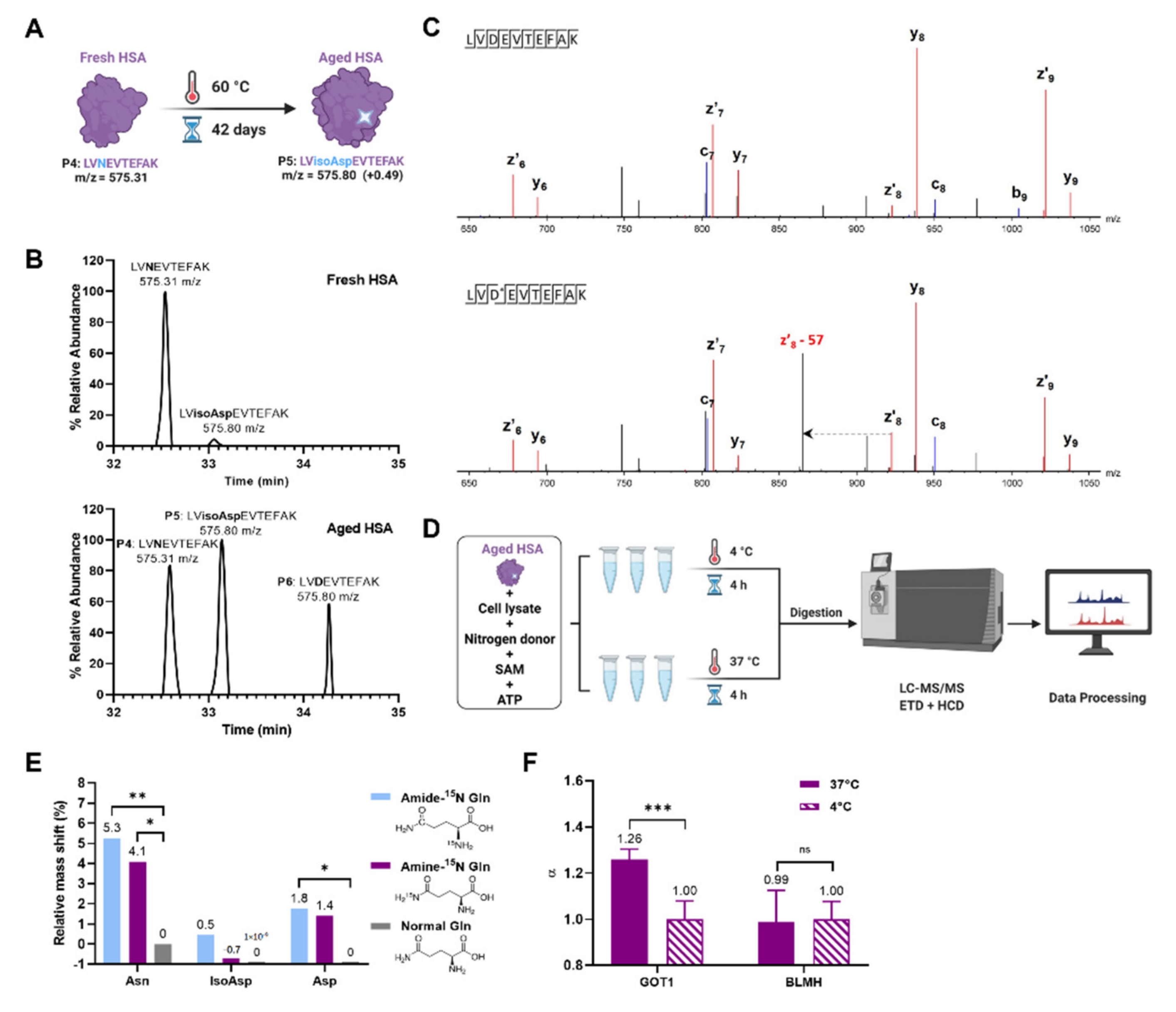 Ijms 23 08371 g003 550