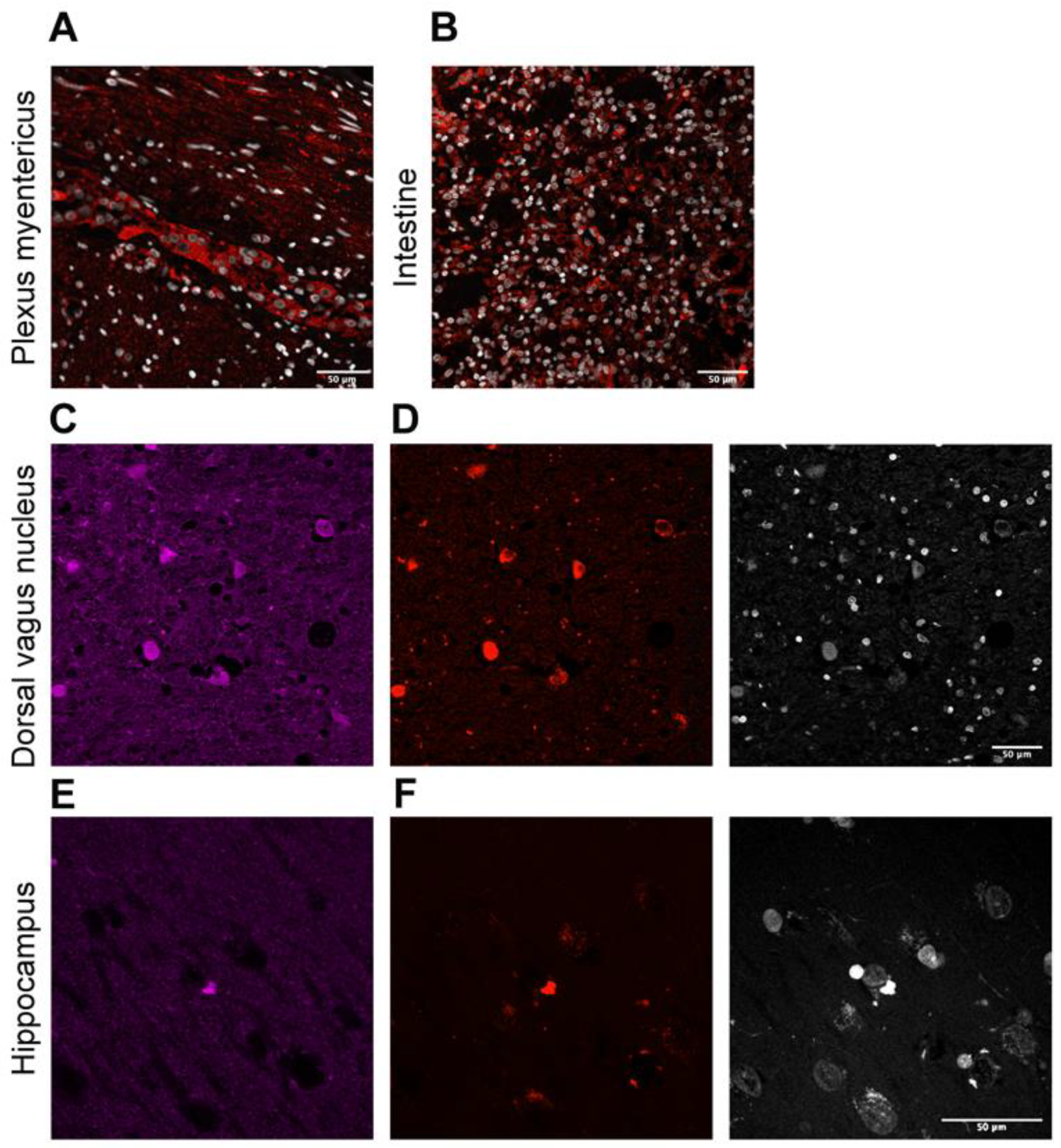 Ijms 23 08376 g005 550
