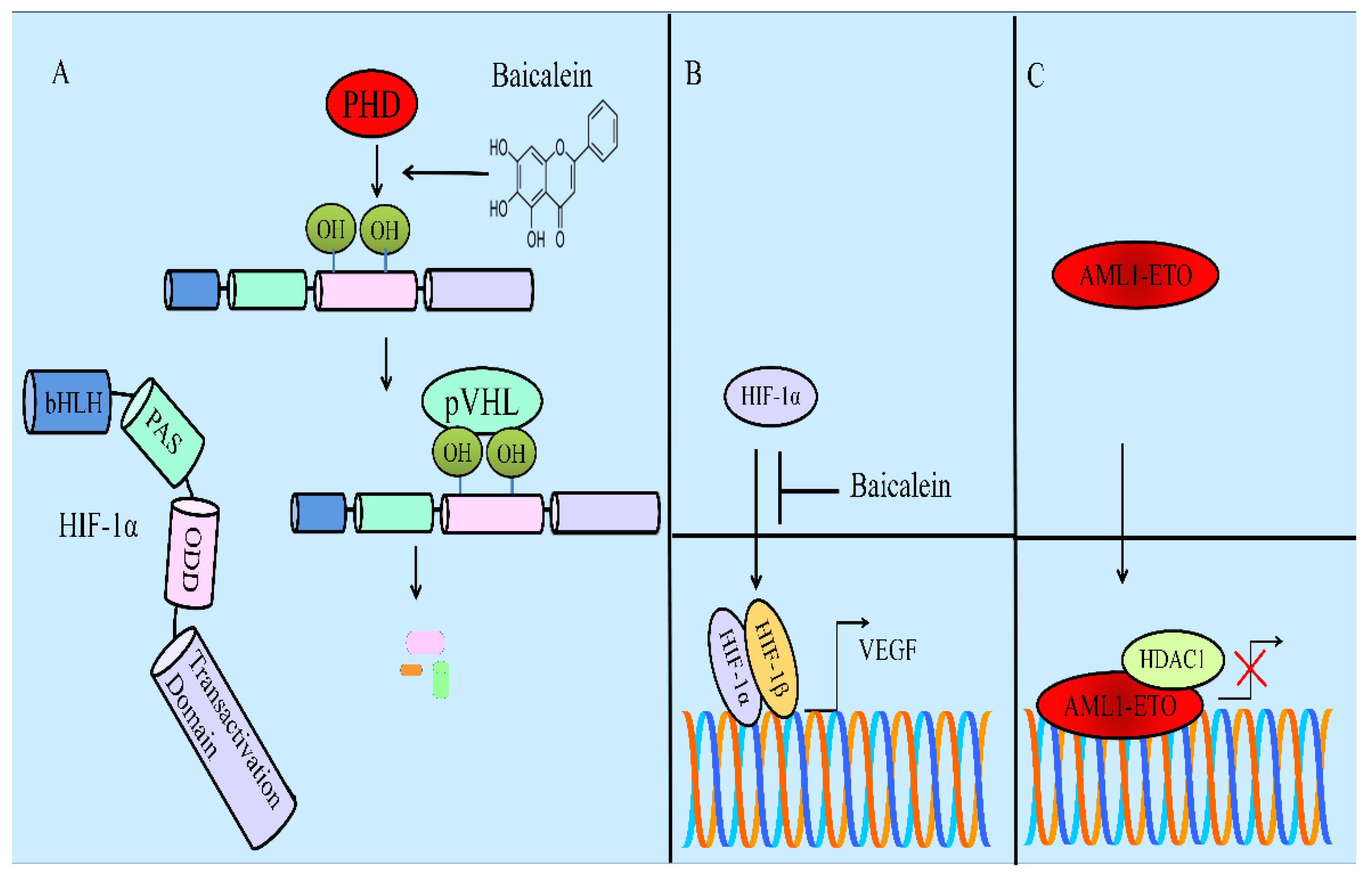 Ijms 23 08377 g005 550