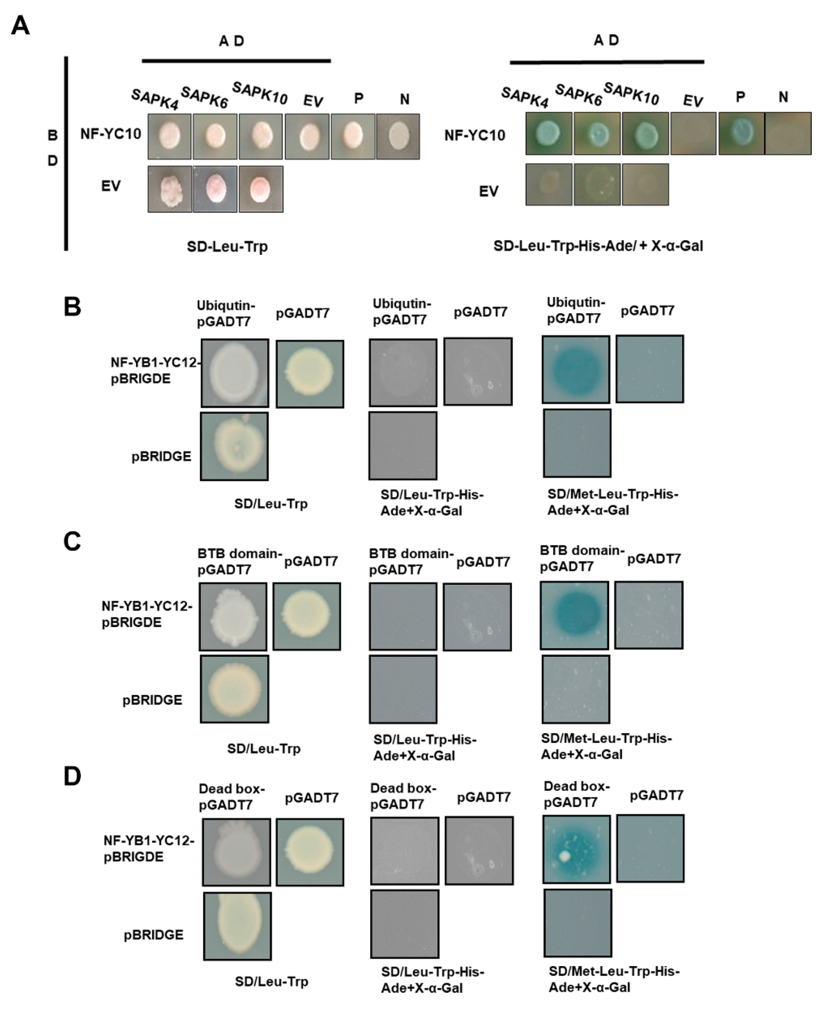 Ijms 23 08382 g005 550