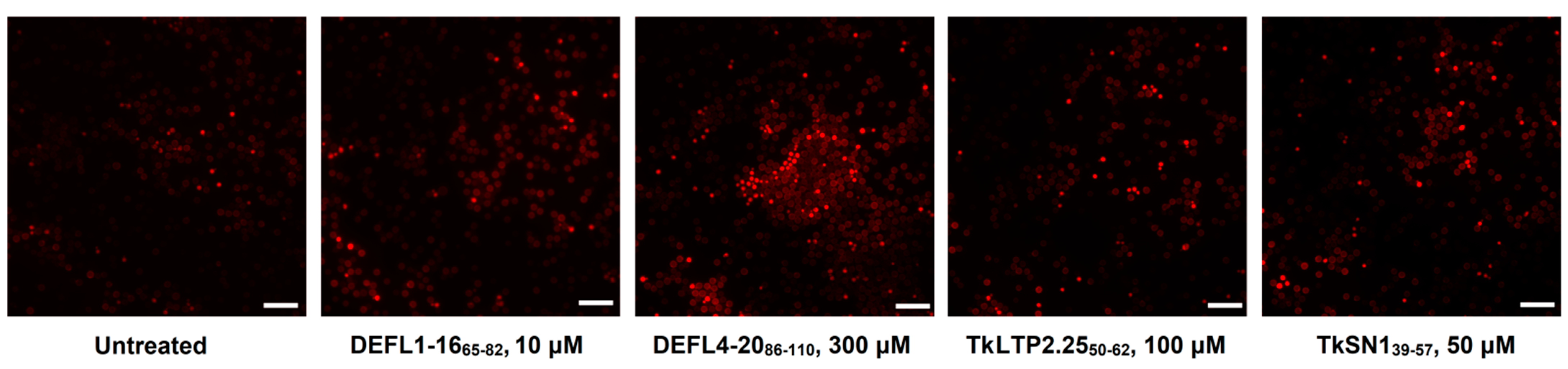 Ijms 23 08383 g005 550