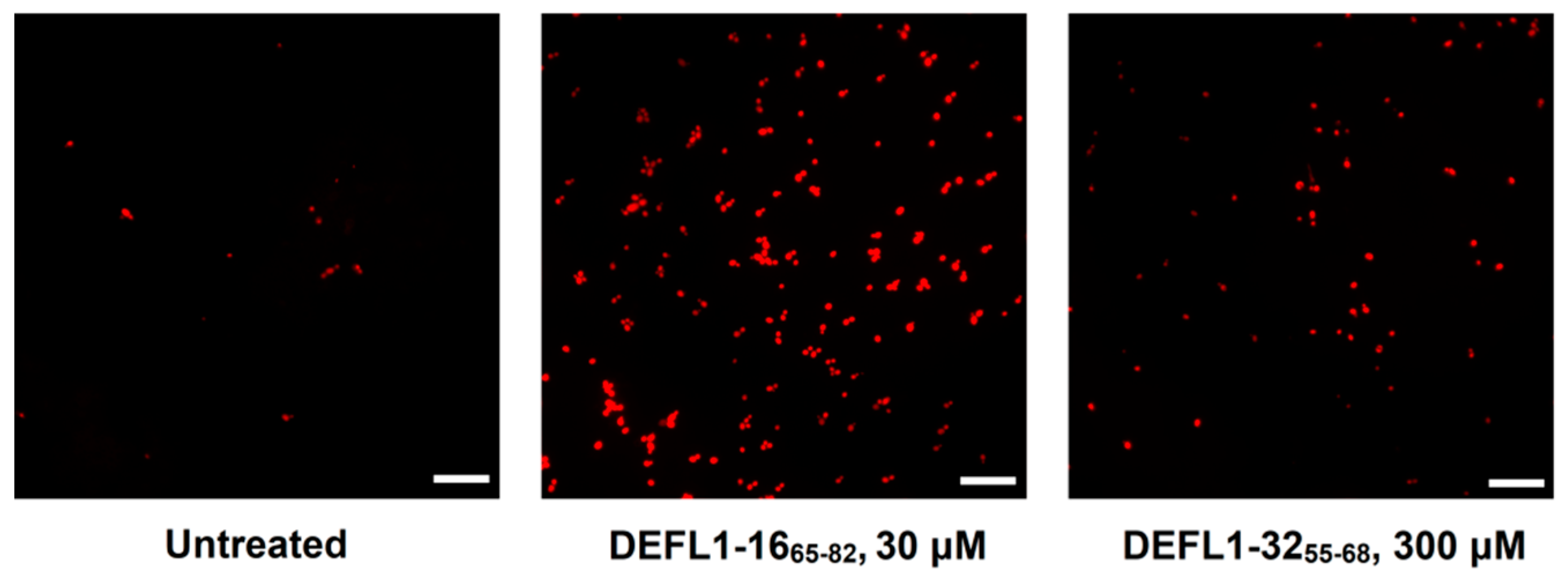 Ijms 23 08383 g007 550