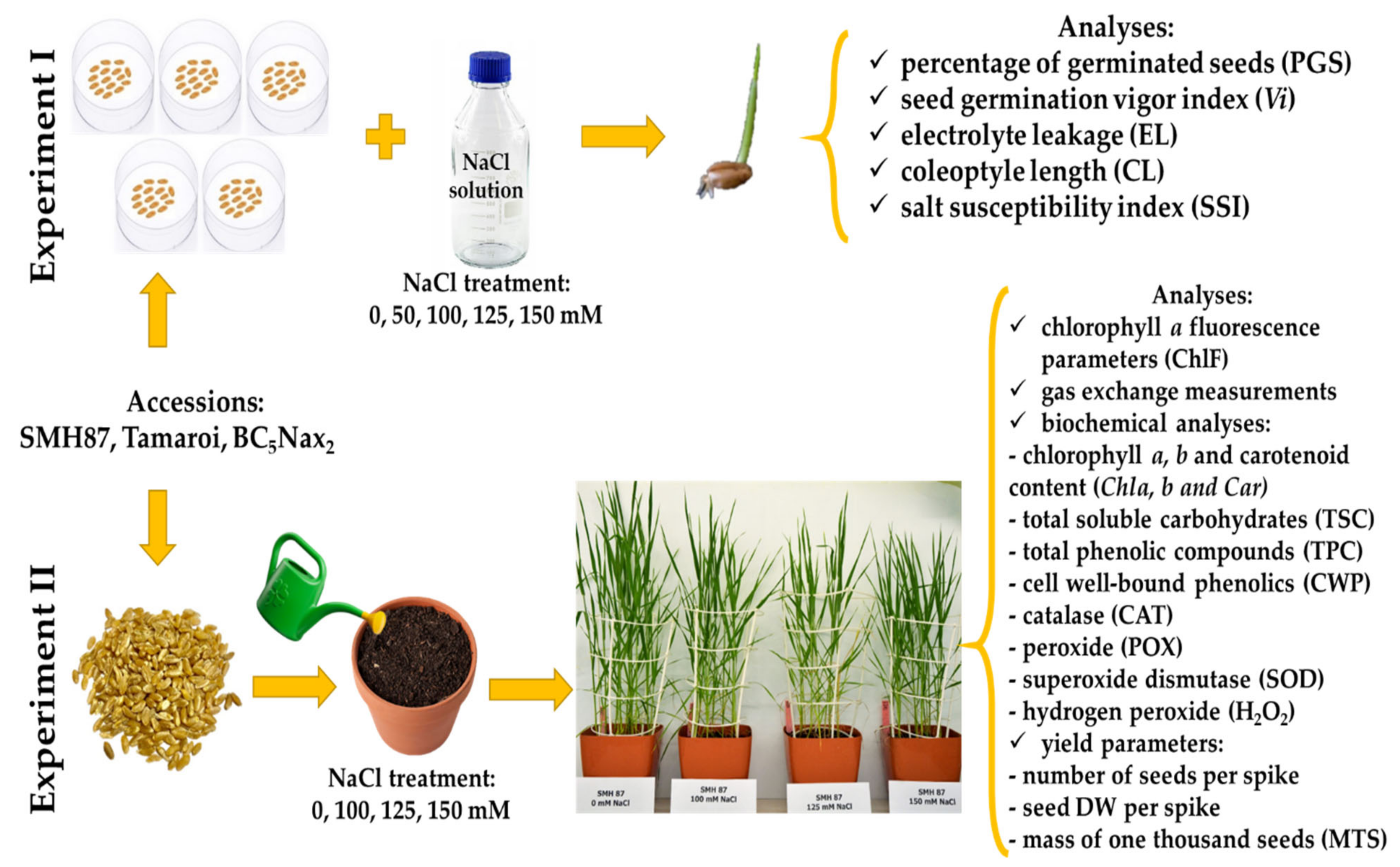 Ijms 23 08397 g008 550