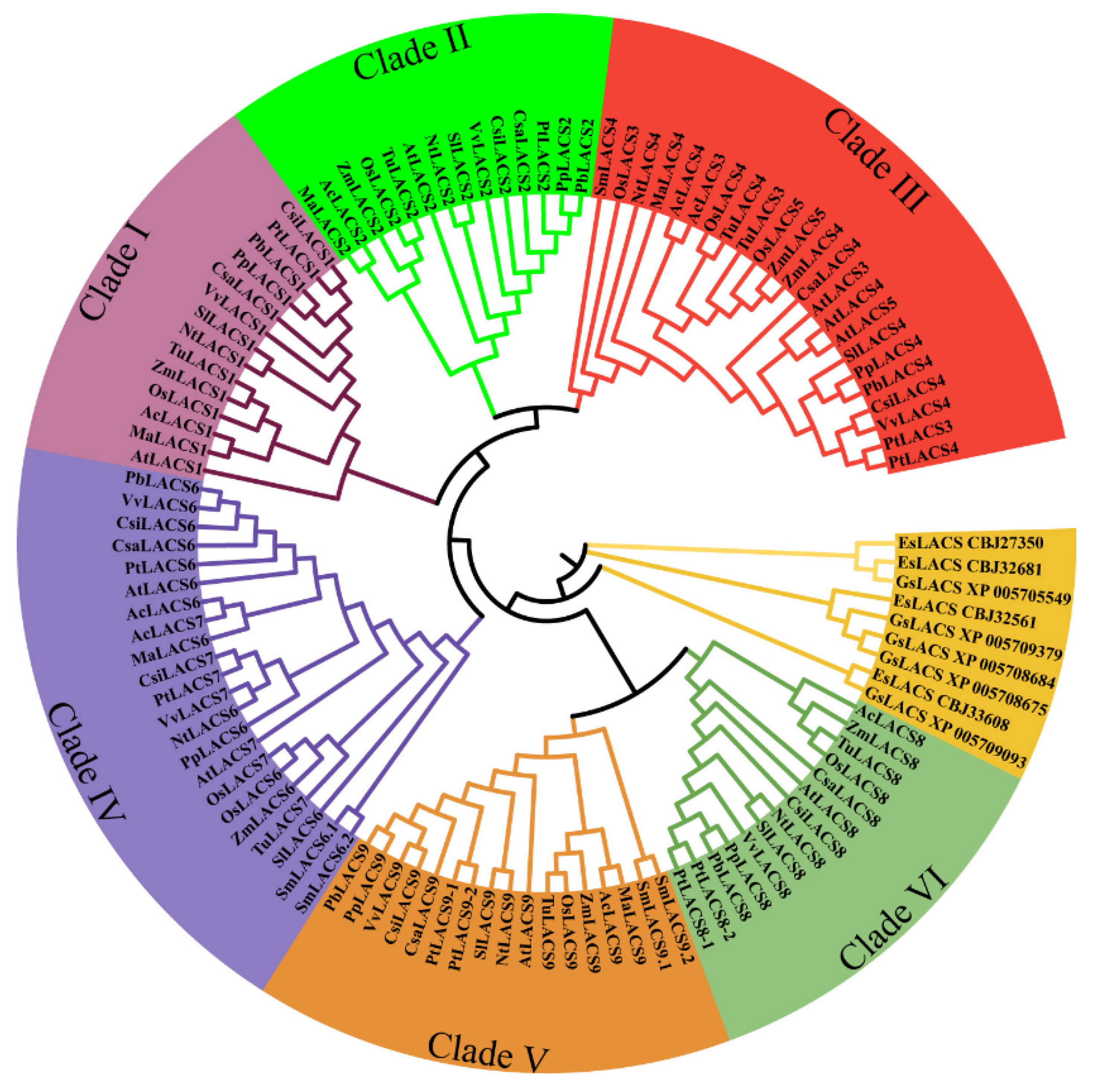 Ijms 23 08401 g001 550