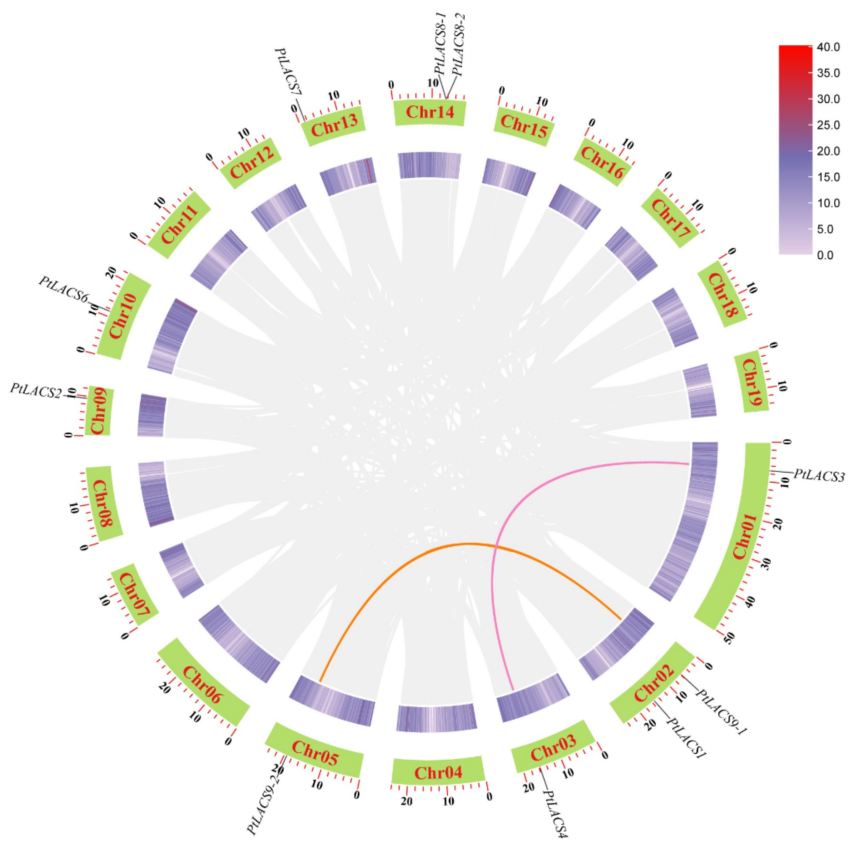 Ijms 23 08401 g002 550