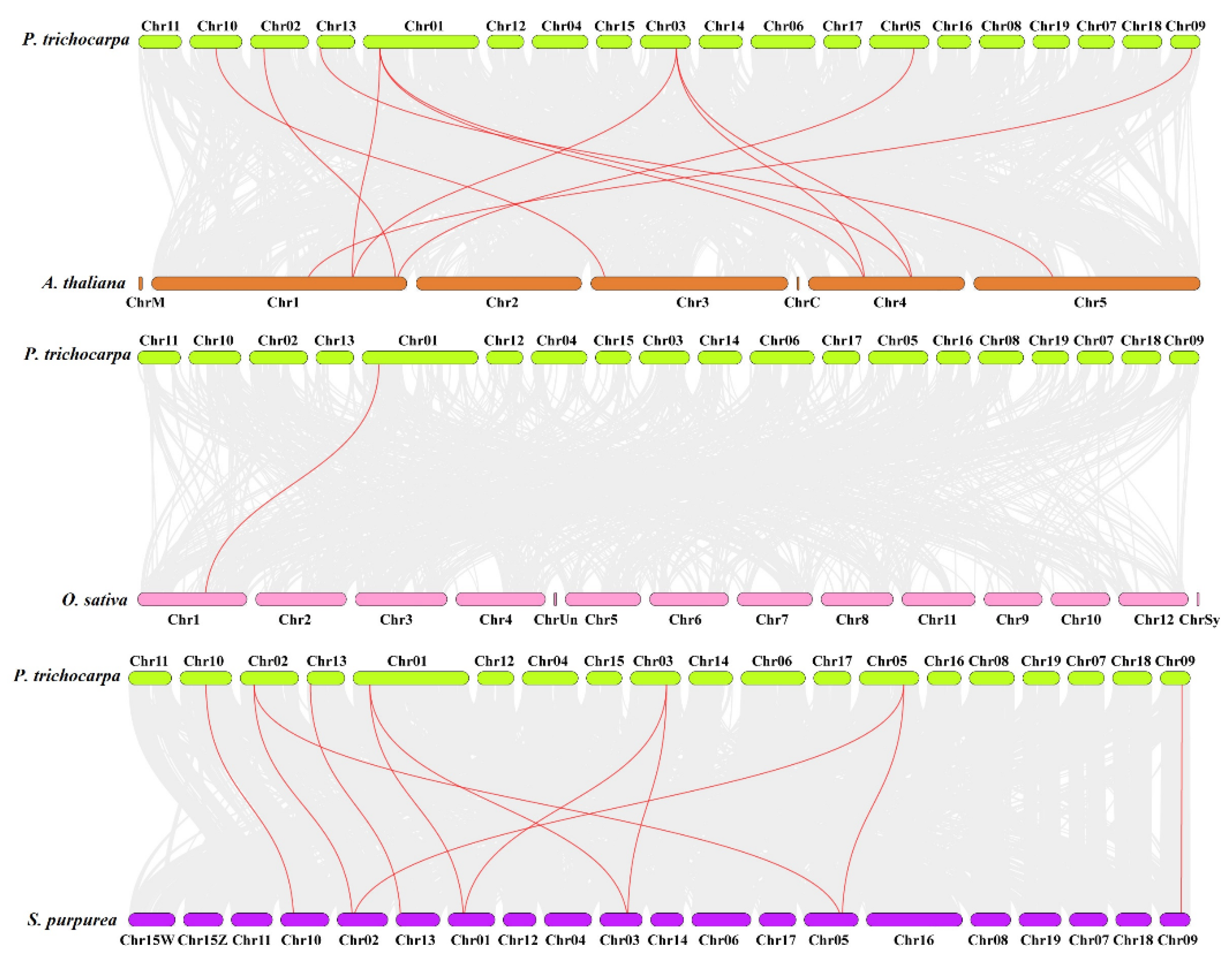 Ijms 23 08401 g003 550