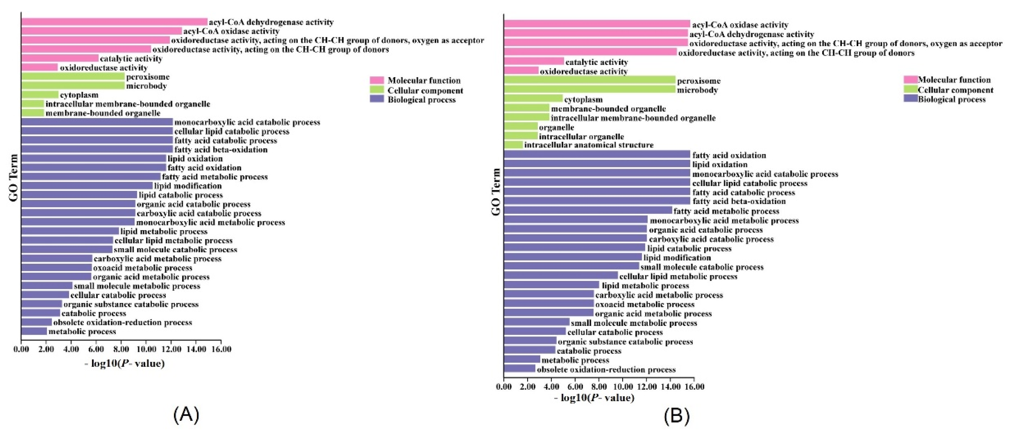 Ijms 23 08401 g004 550
