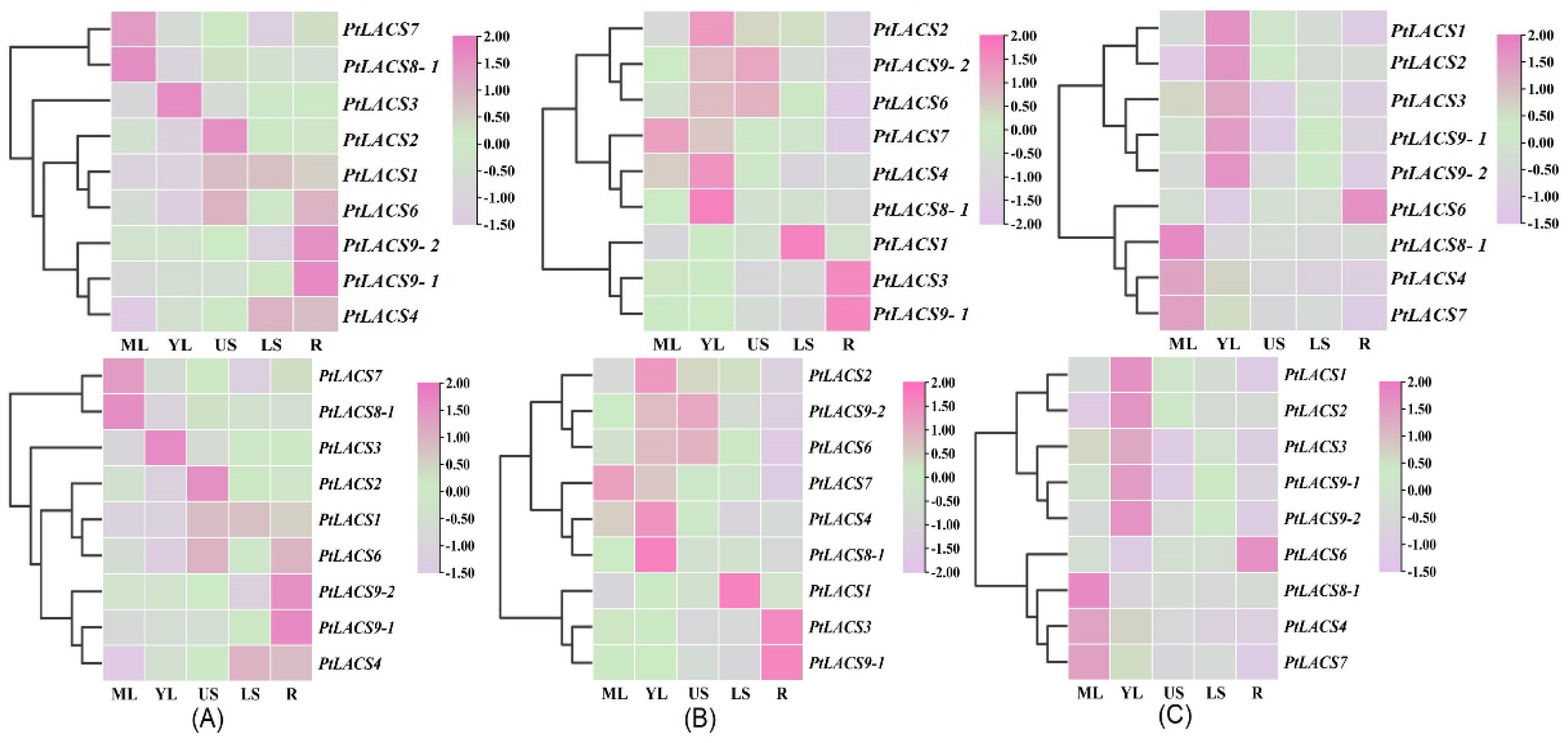 Ijms 23 08401 g005 550