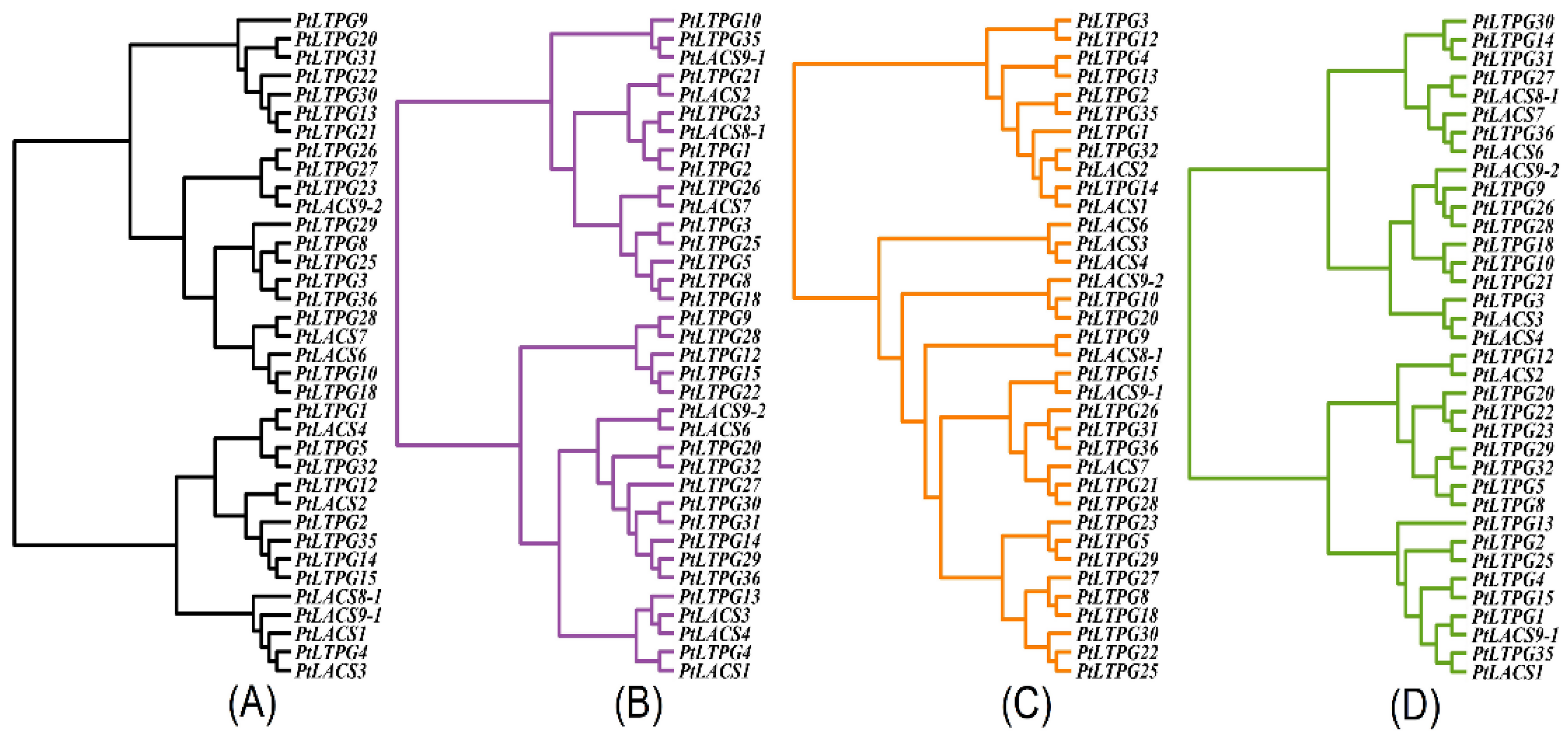 Ijms 23 08401 g007 550