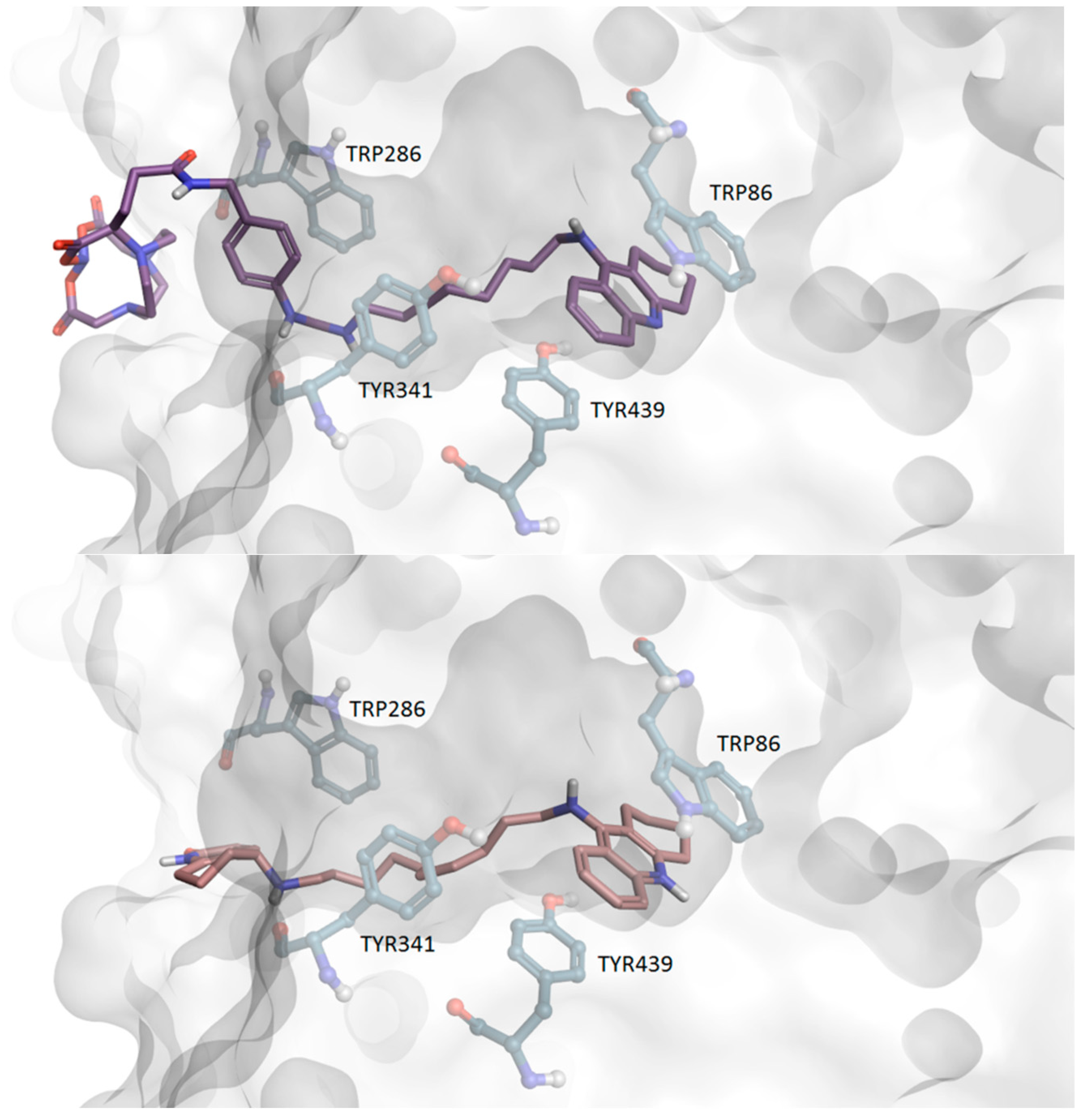 Ijms 23 08405 g008b 550