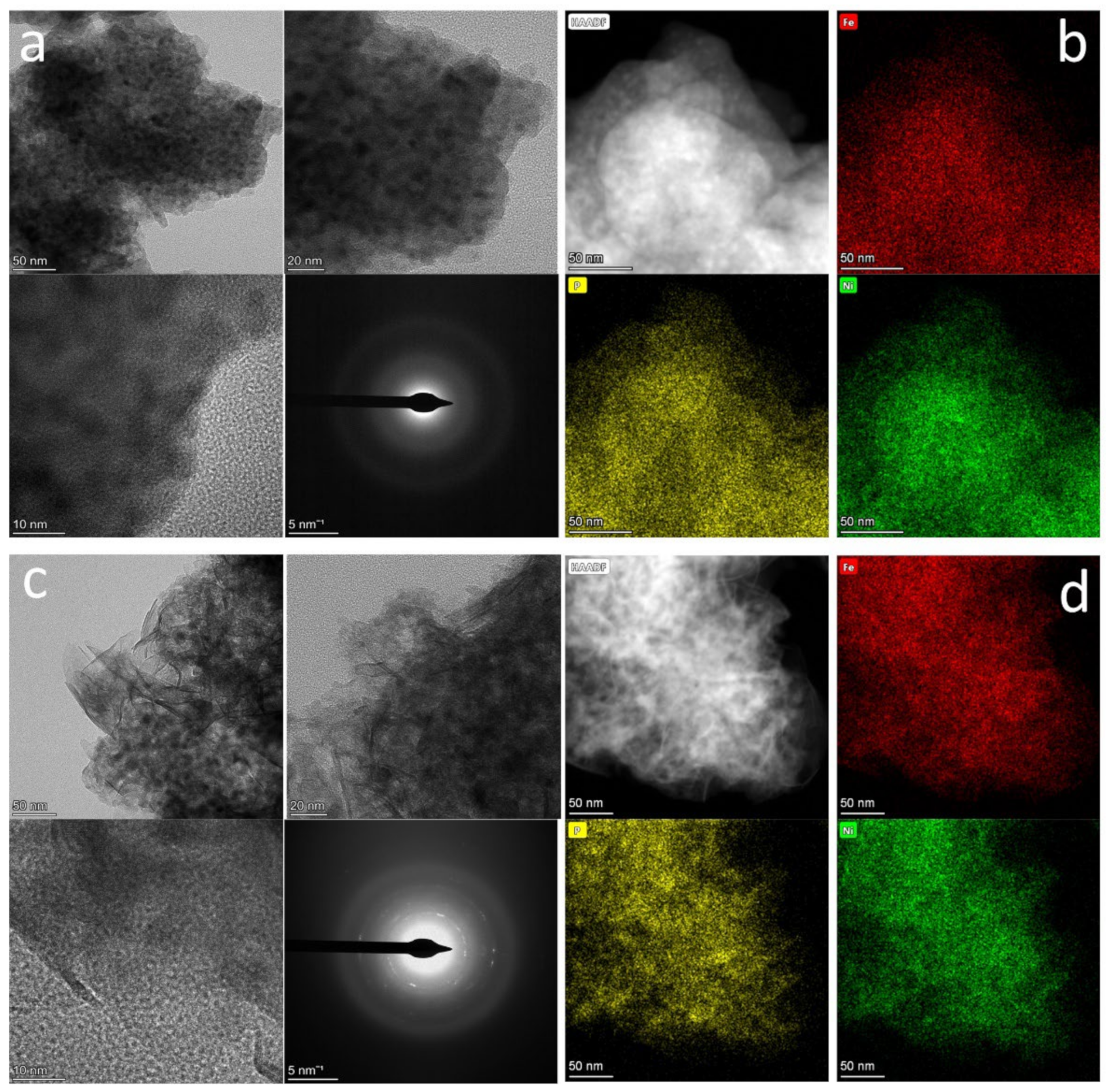 Ijms 23 08408 g003 550