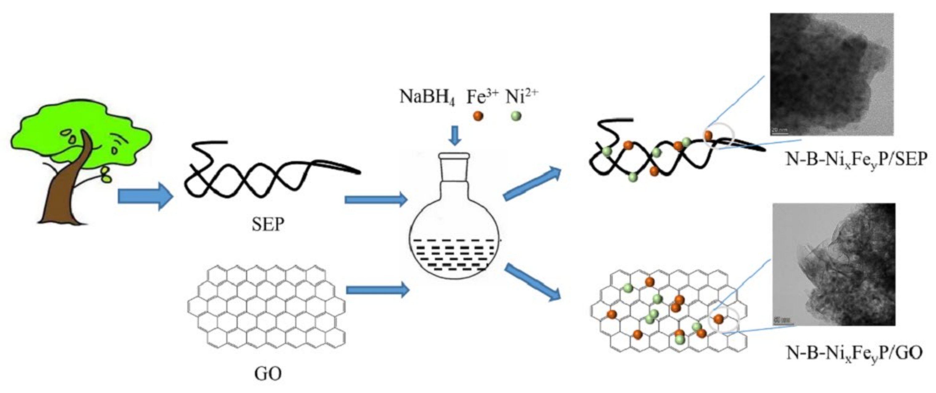 Ijms 23 08408 sch001 550